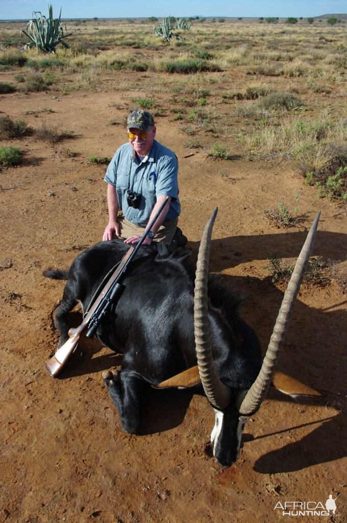 Hunting Sable Antelope South Africa