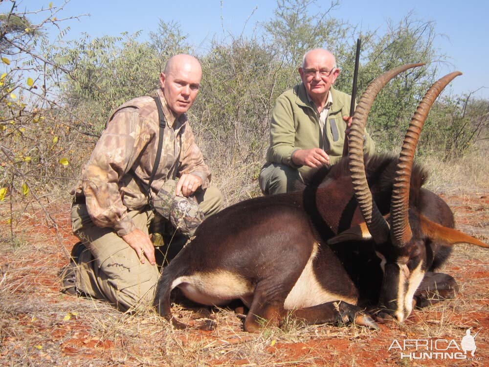 Hunting Sable Antelope South Africa