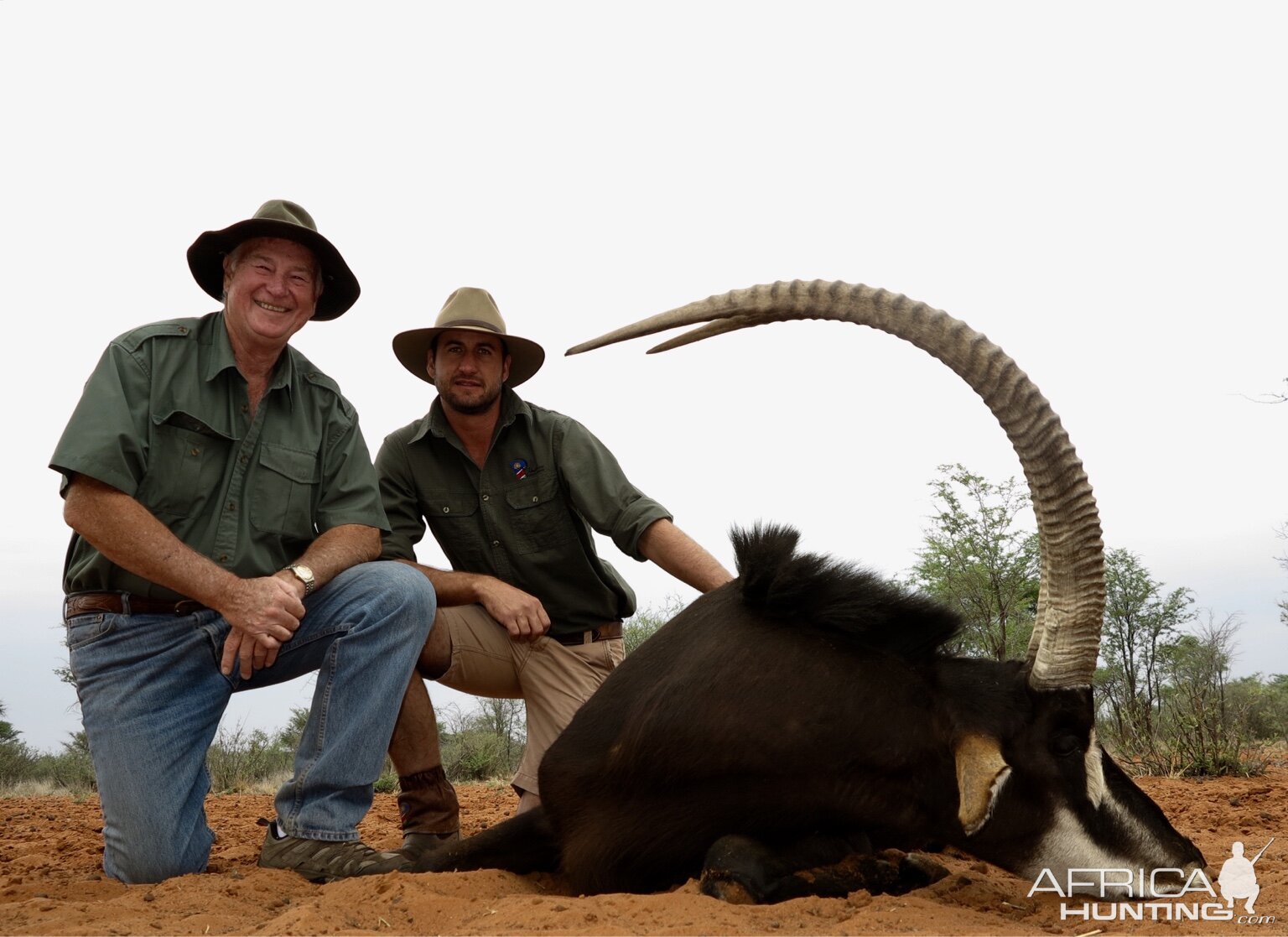 Hunting Sable Antelope