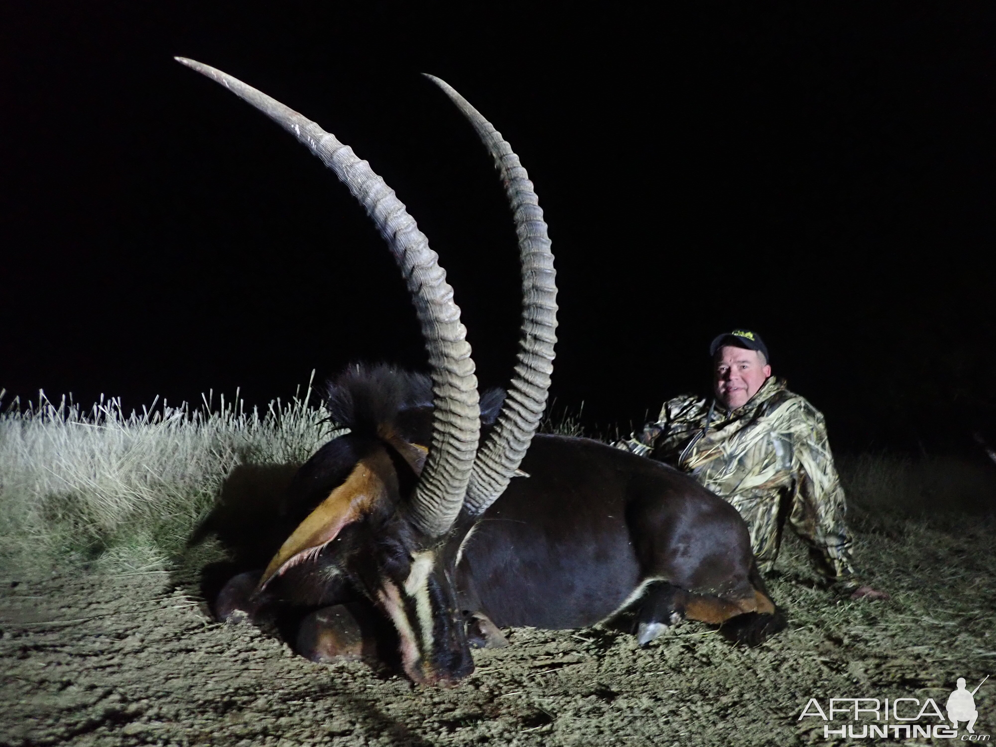 Hunting Sable Antelope