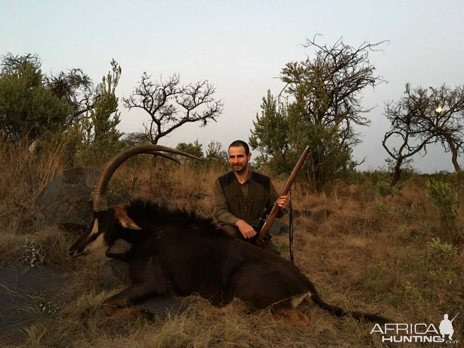 Hunting Sable in Mpumalanga