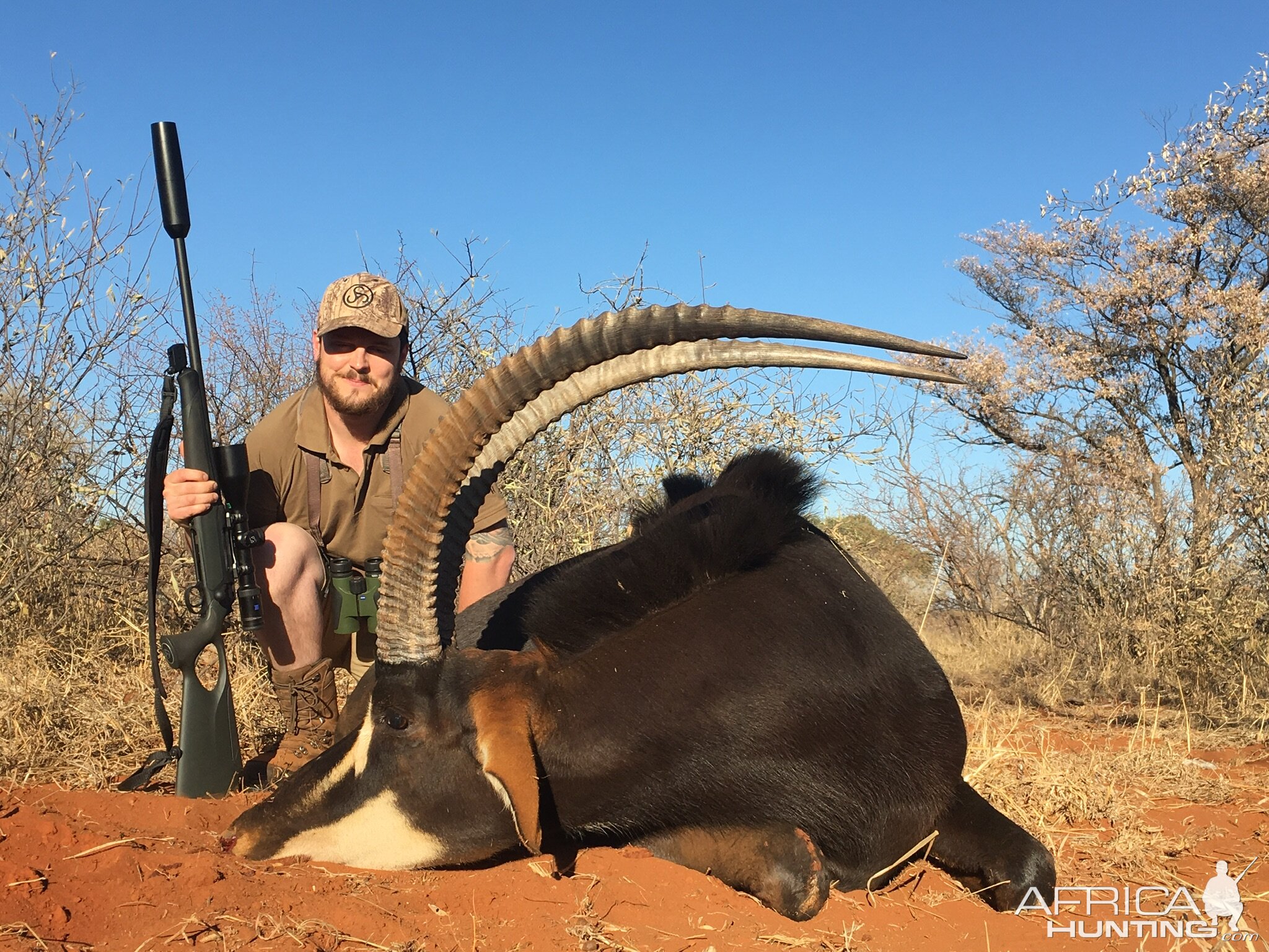 Hunting Sable in South Africa