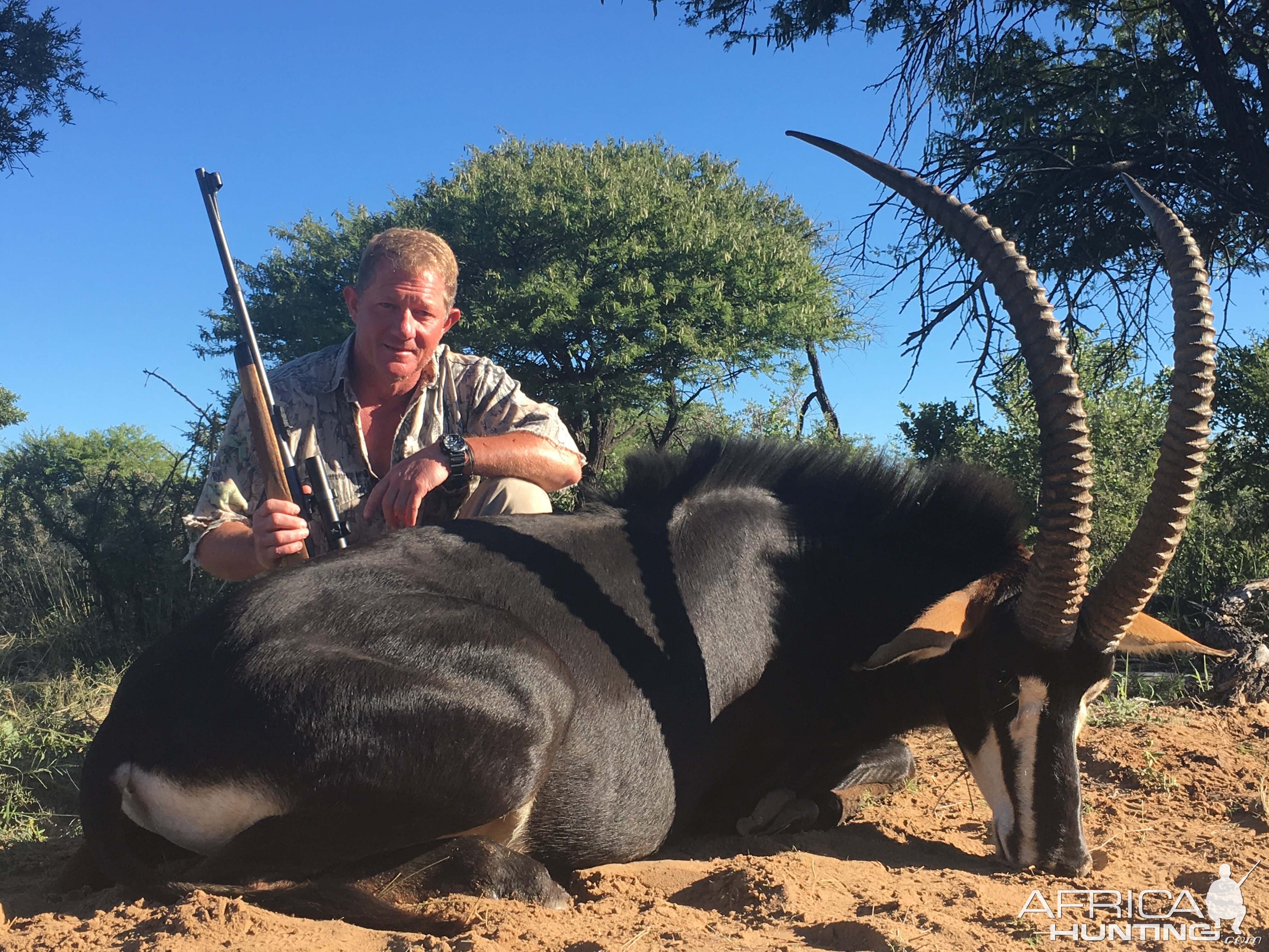 Hunting Sable in South Africa