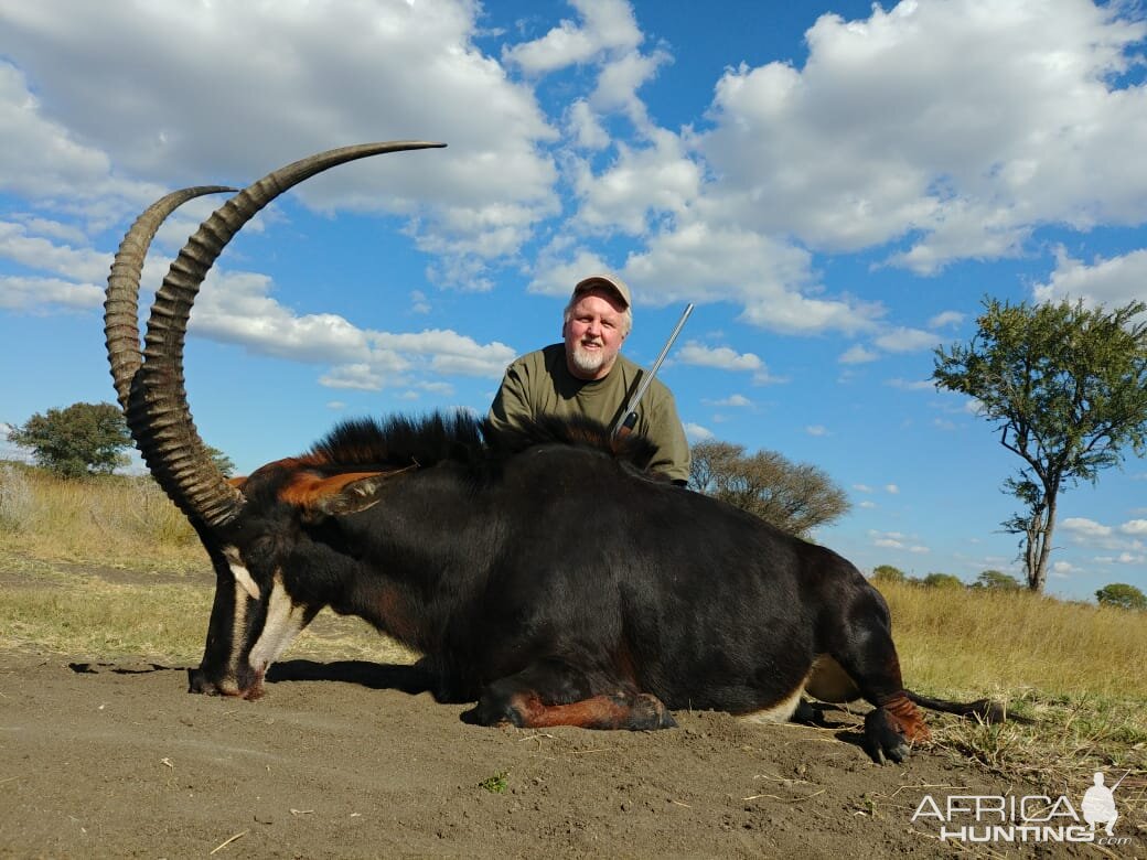 Hunting Sable in South Africa