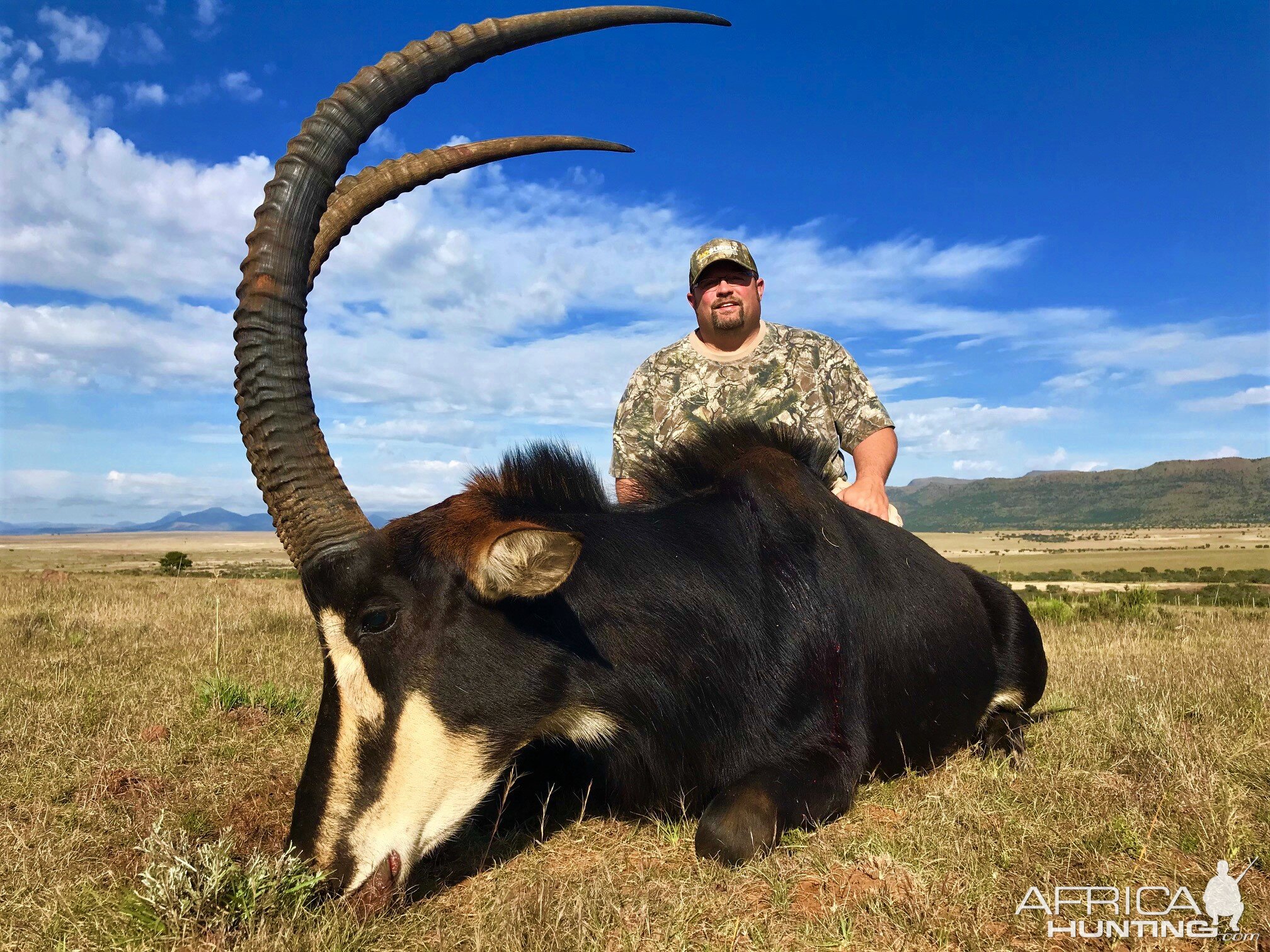 Hunting Sable in South Africa