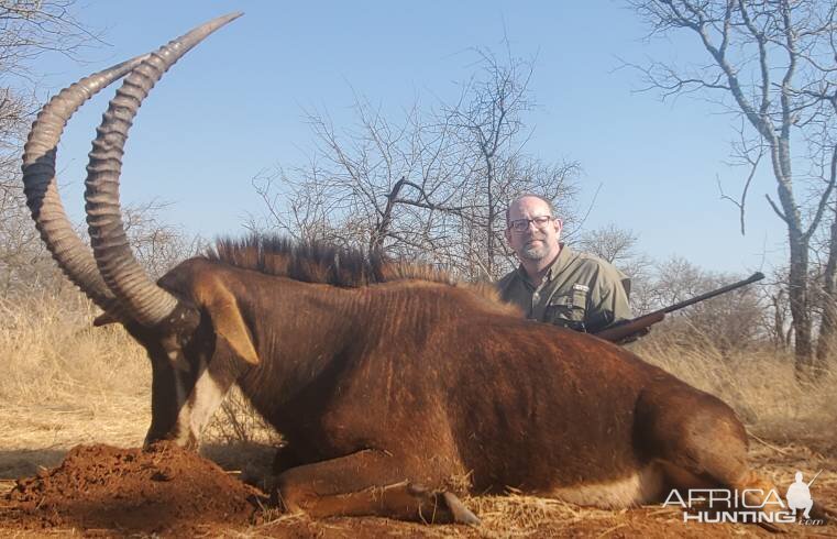 Hunting Sable in South Africa