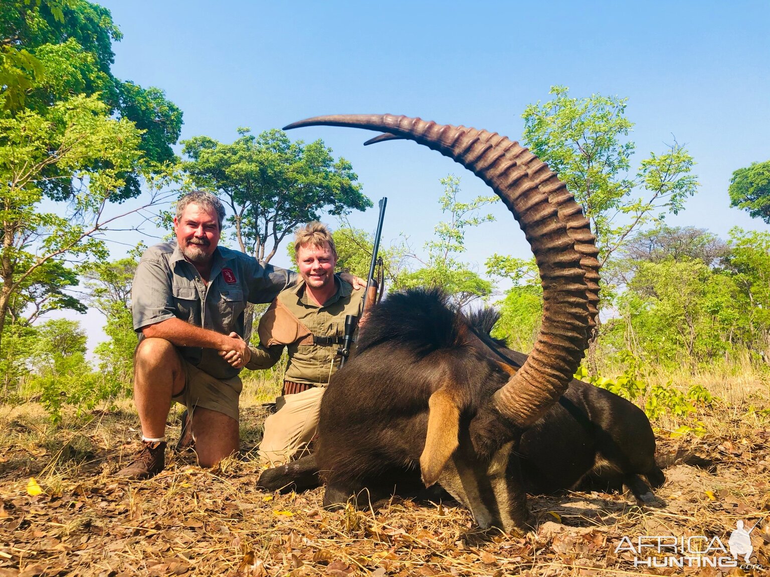 Hunting Sable in Zimbabwe