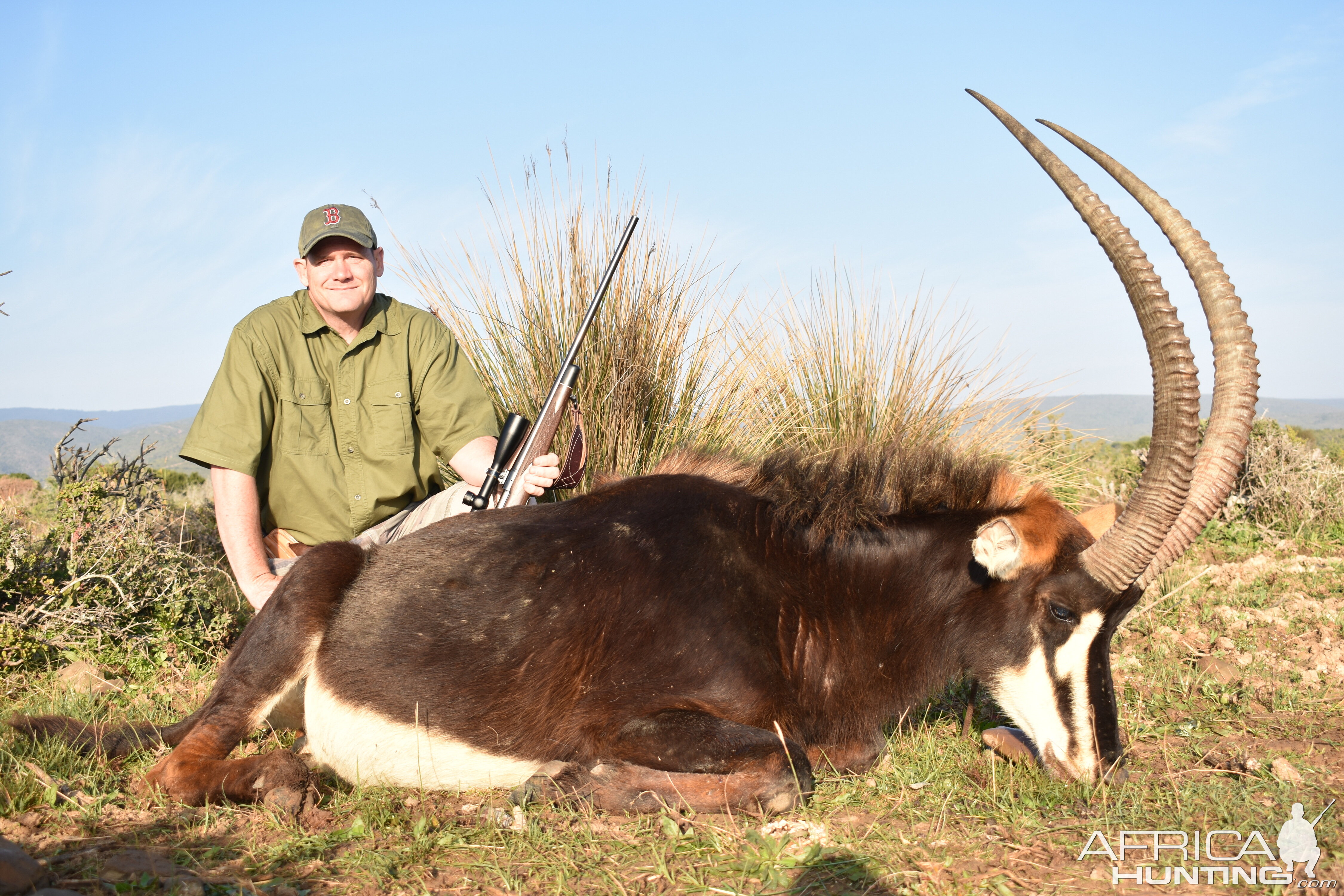 Hunting Sable South Africa