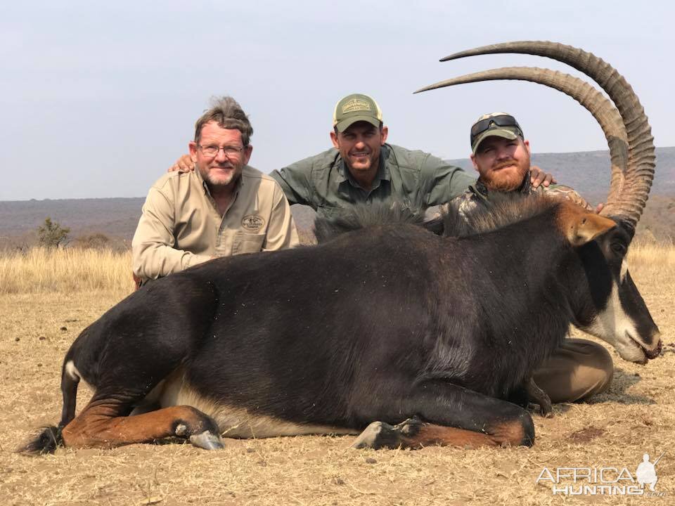 Hunting Sable South Africa