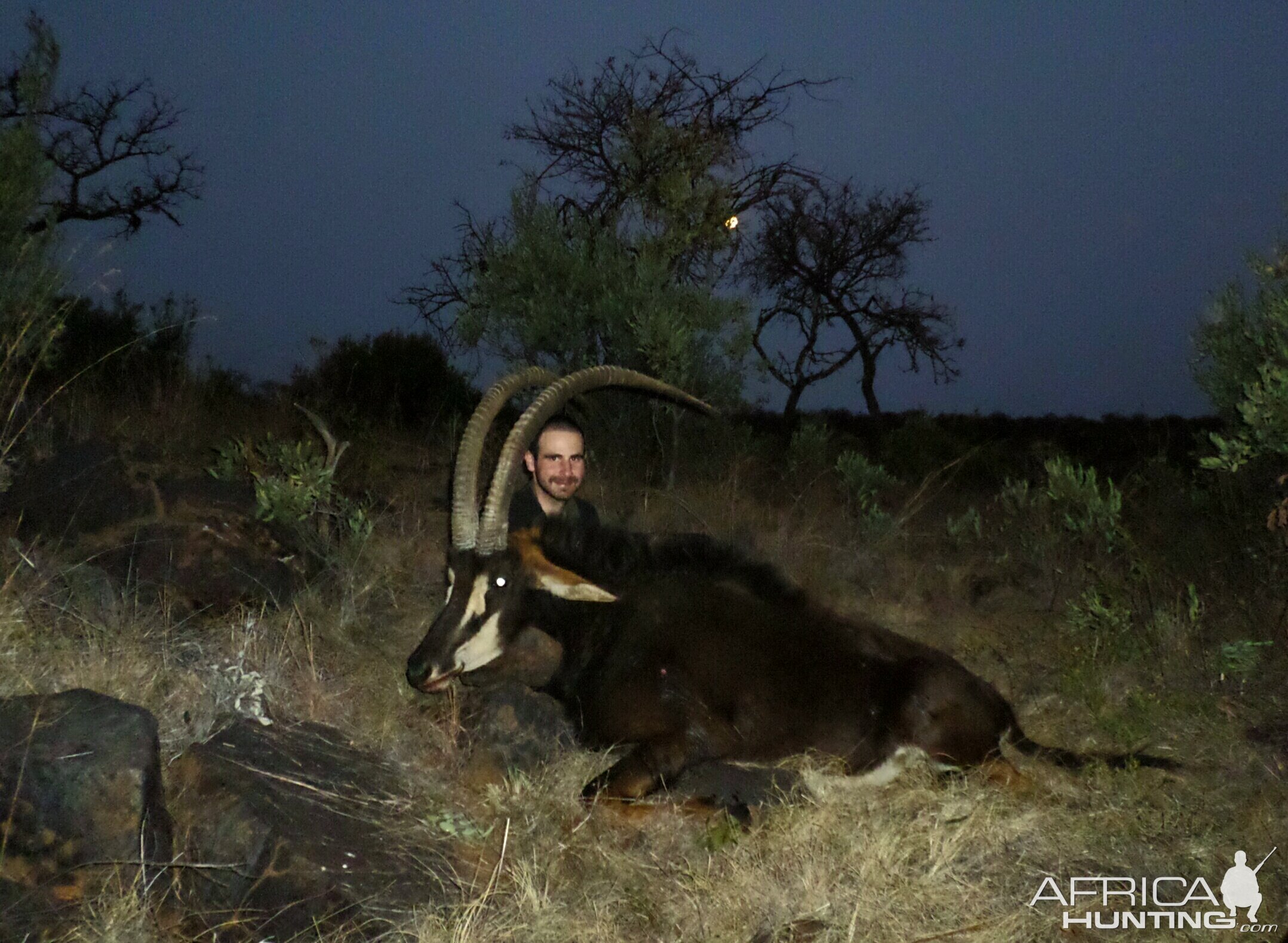 Hunting Sable South Africa