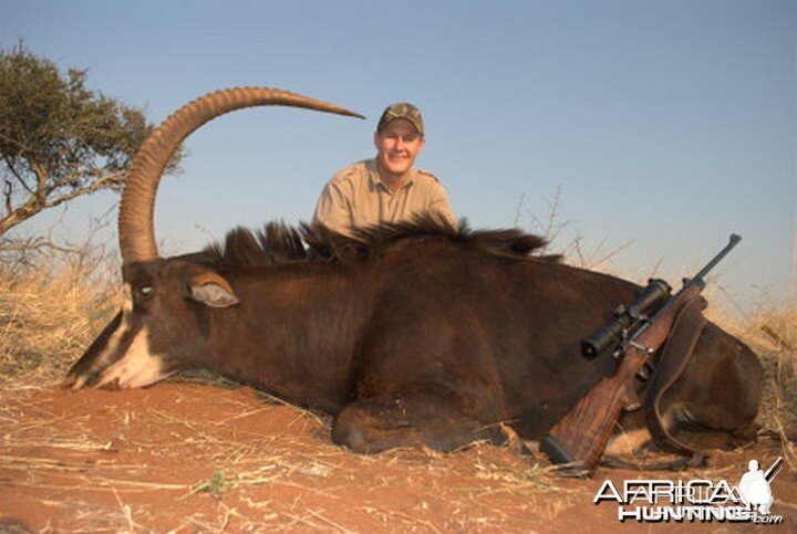 Hunting Sable with Spiral Horn Safaris