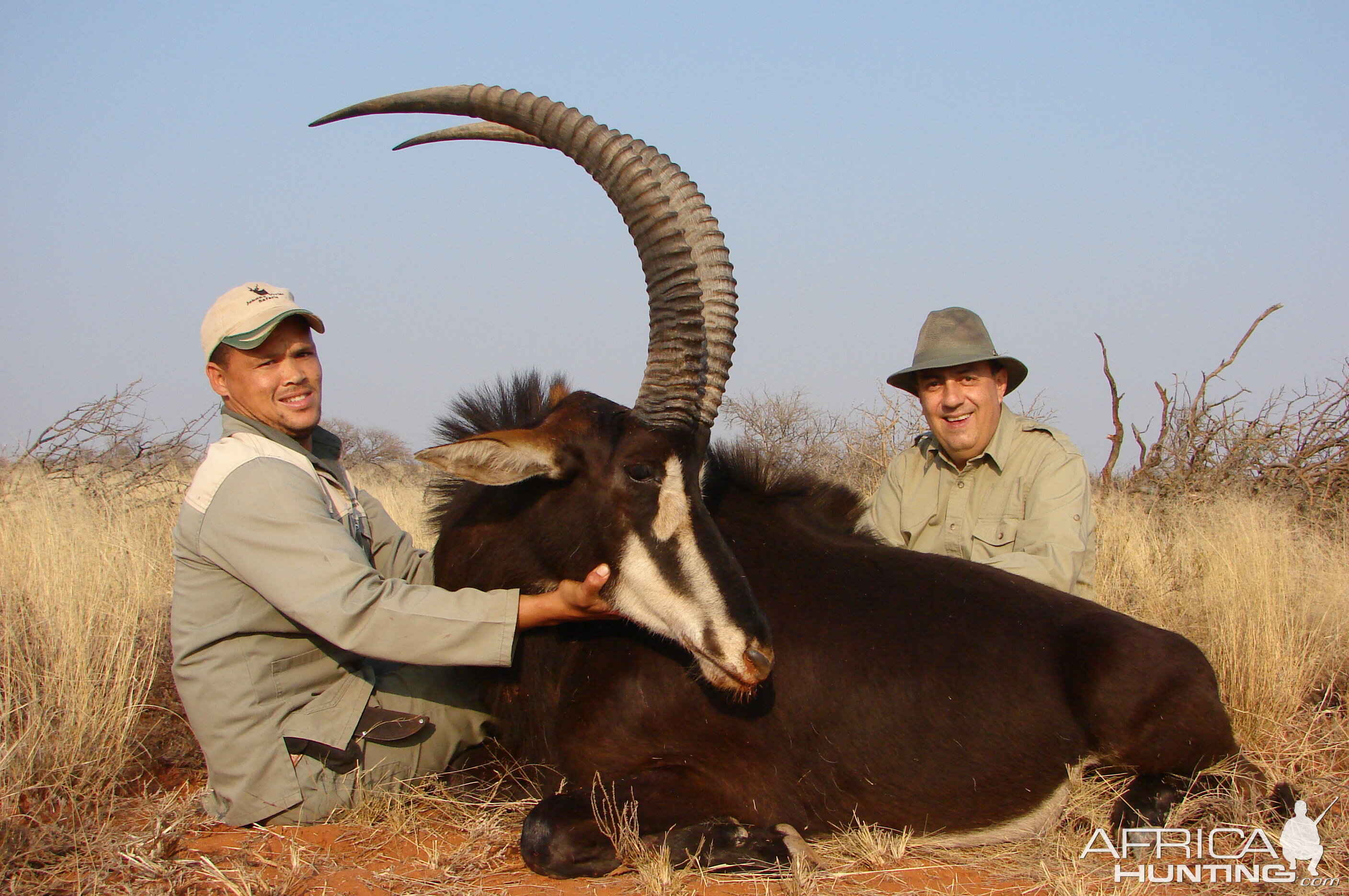 Hunting Sable with Wintershoek Johnny Vivier Safaris in SA