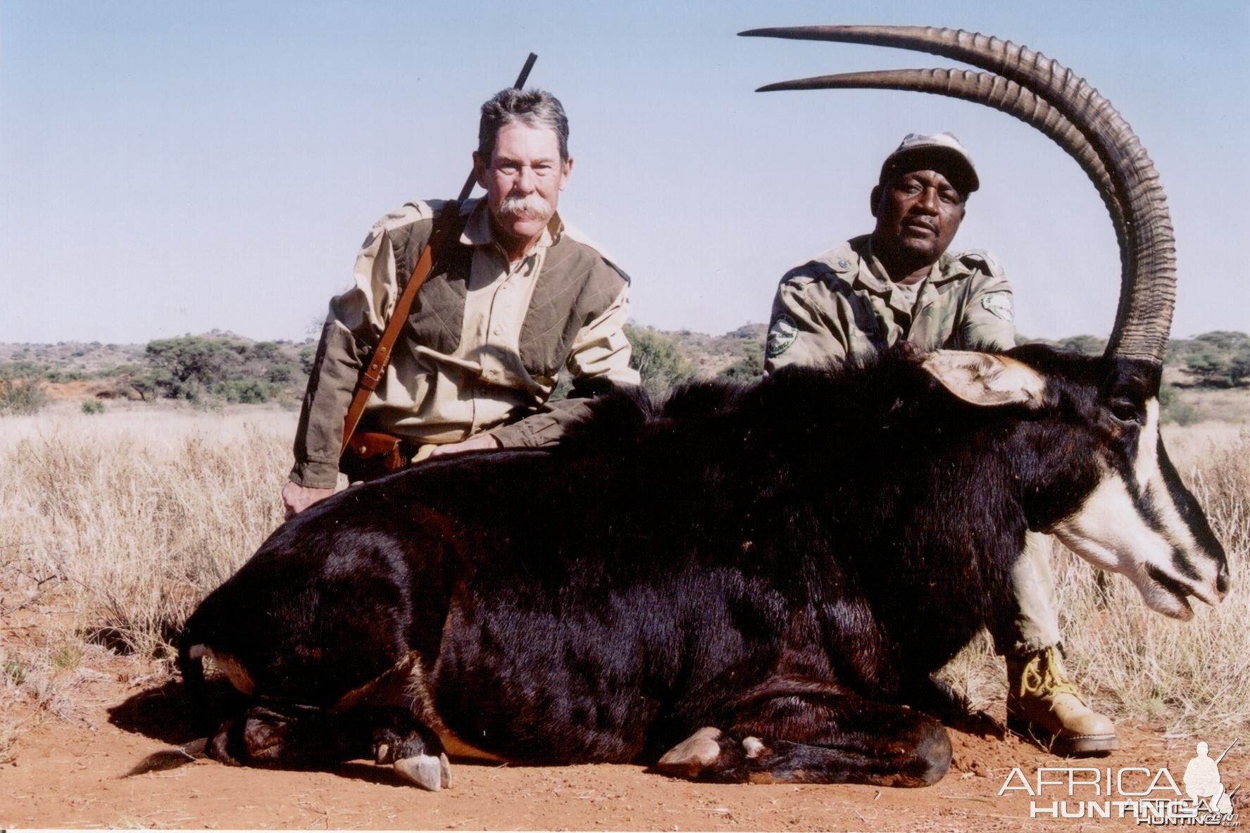 Hunting Sable with Wintershoek Johnny Vivier Safaris in SA