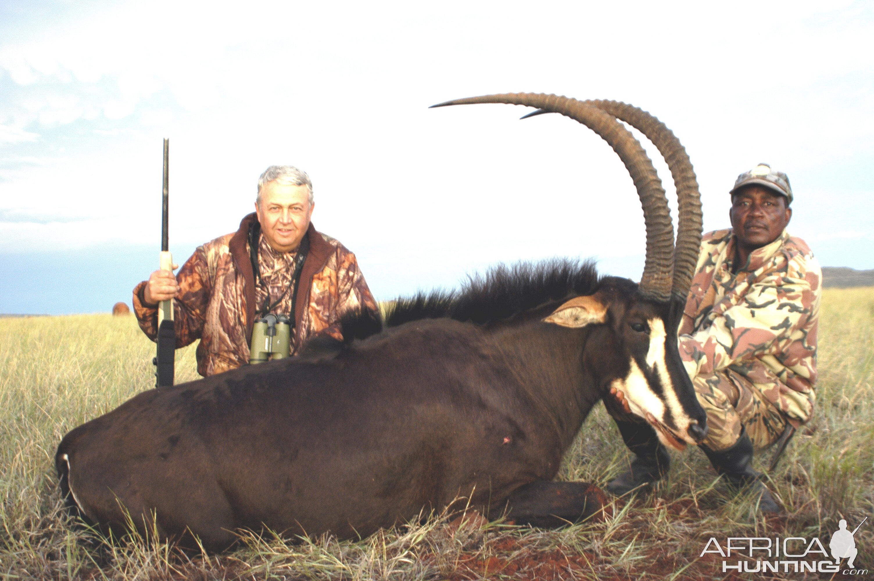 Hunting Sable with Wintershoek Johnny Vivier Safaris in SA