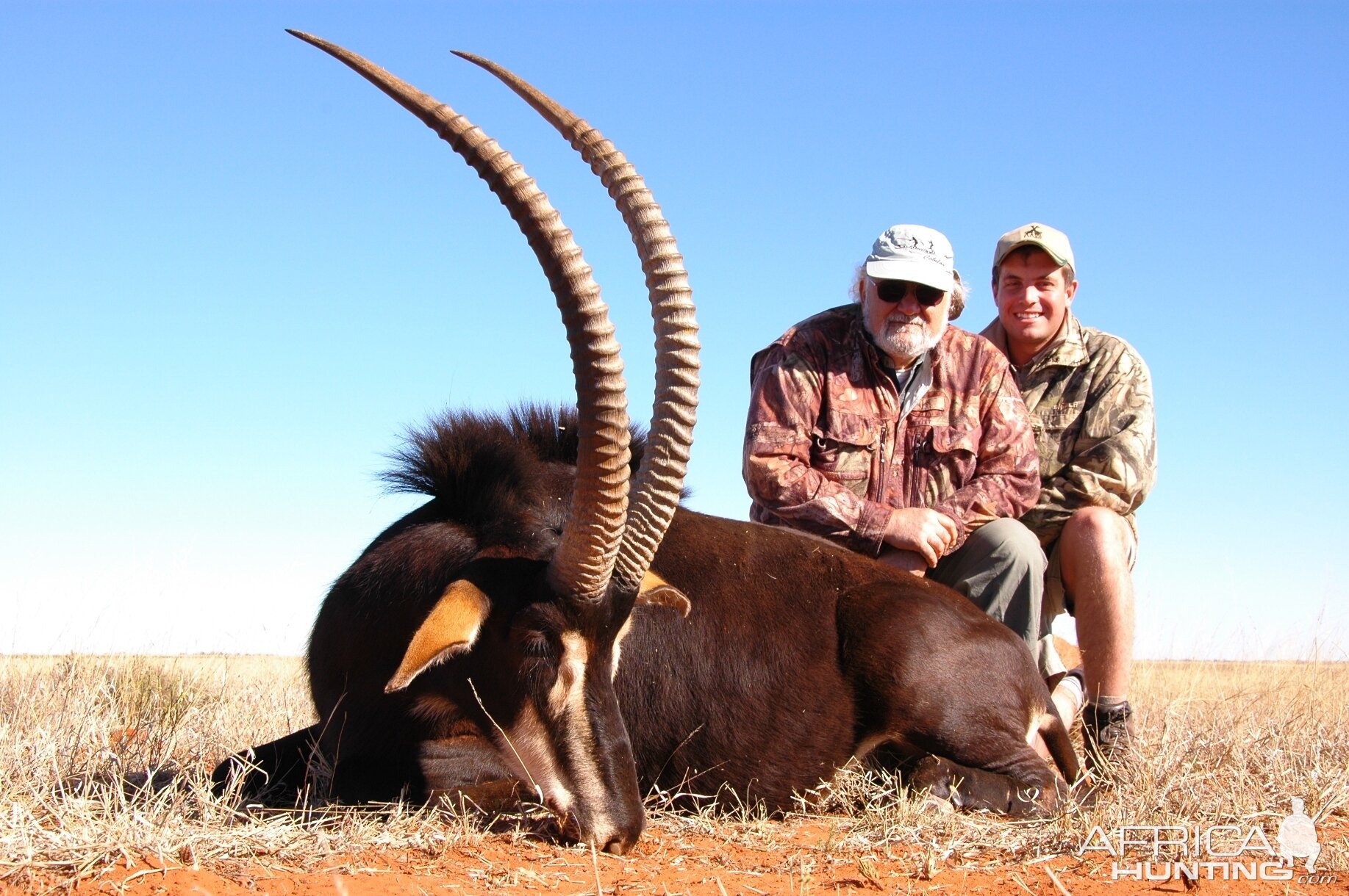 Hunting Sable with Wintershoek Johnny Vivier Safaris in SA