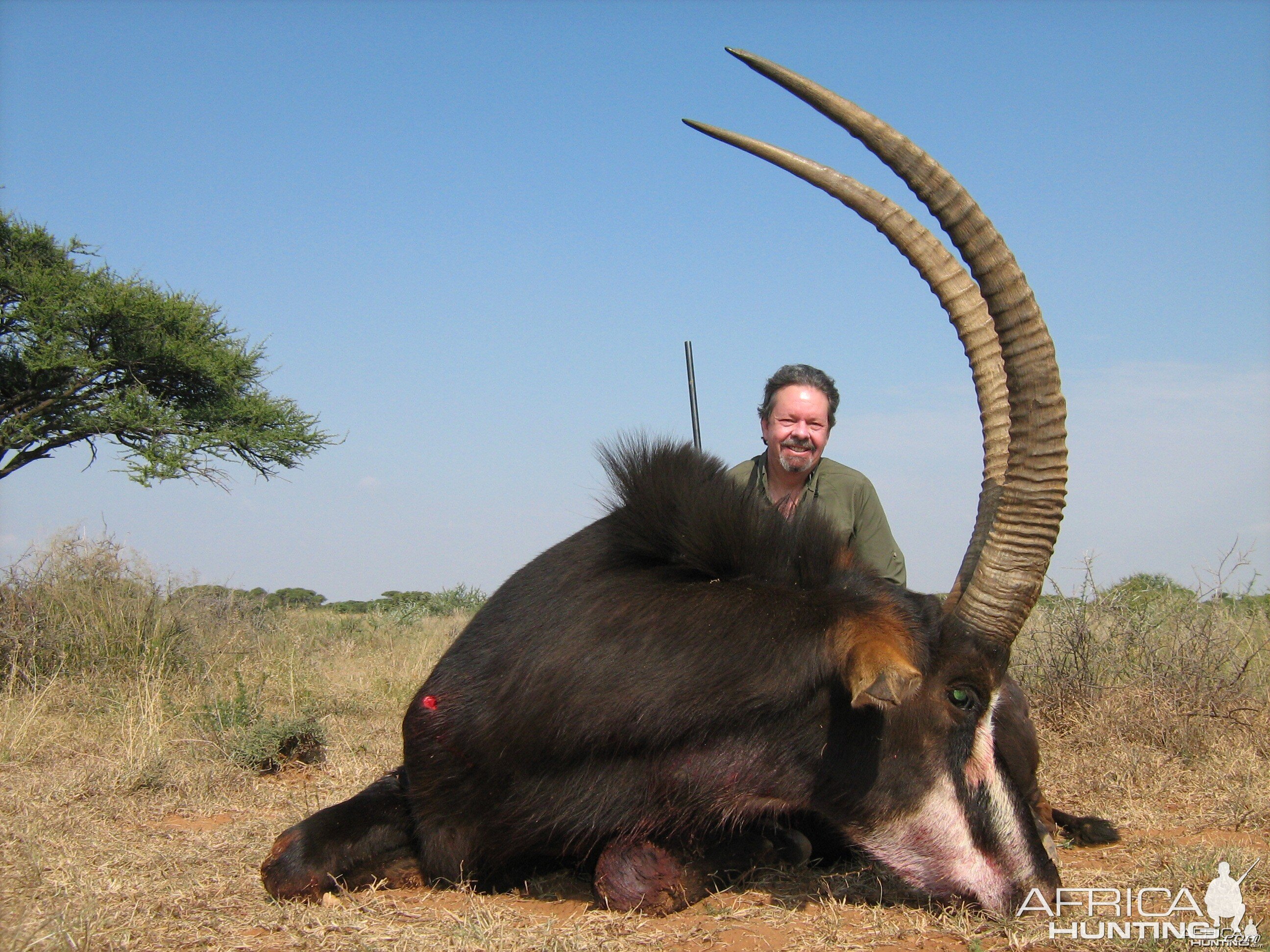 Hunting Sable with Wintershoek Johnny Vivier Safaris in SA