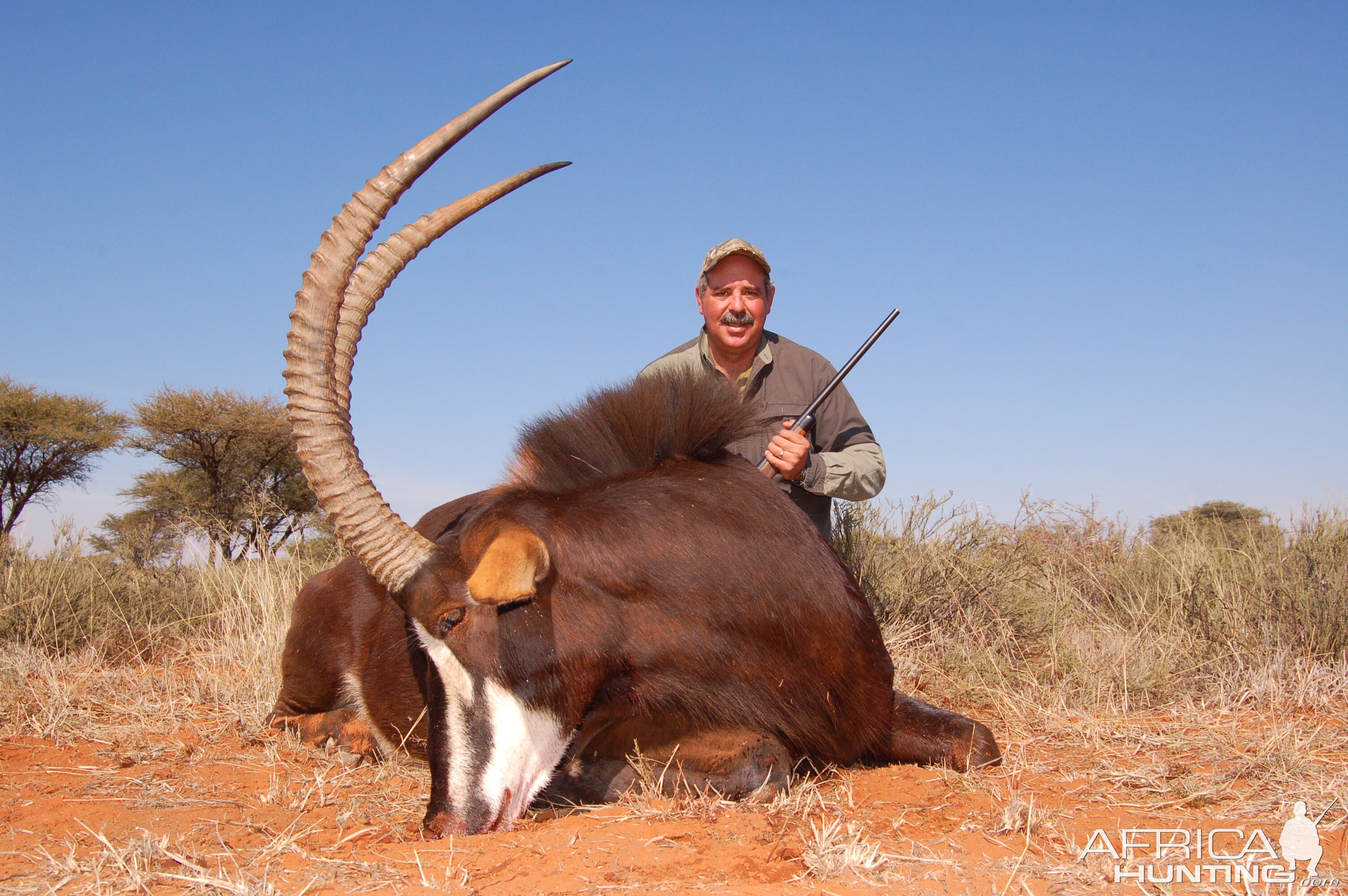 Hunting Sable with Wintershoek Johnny Vivier Safaris in SA