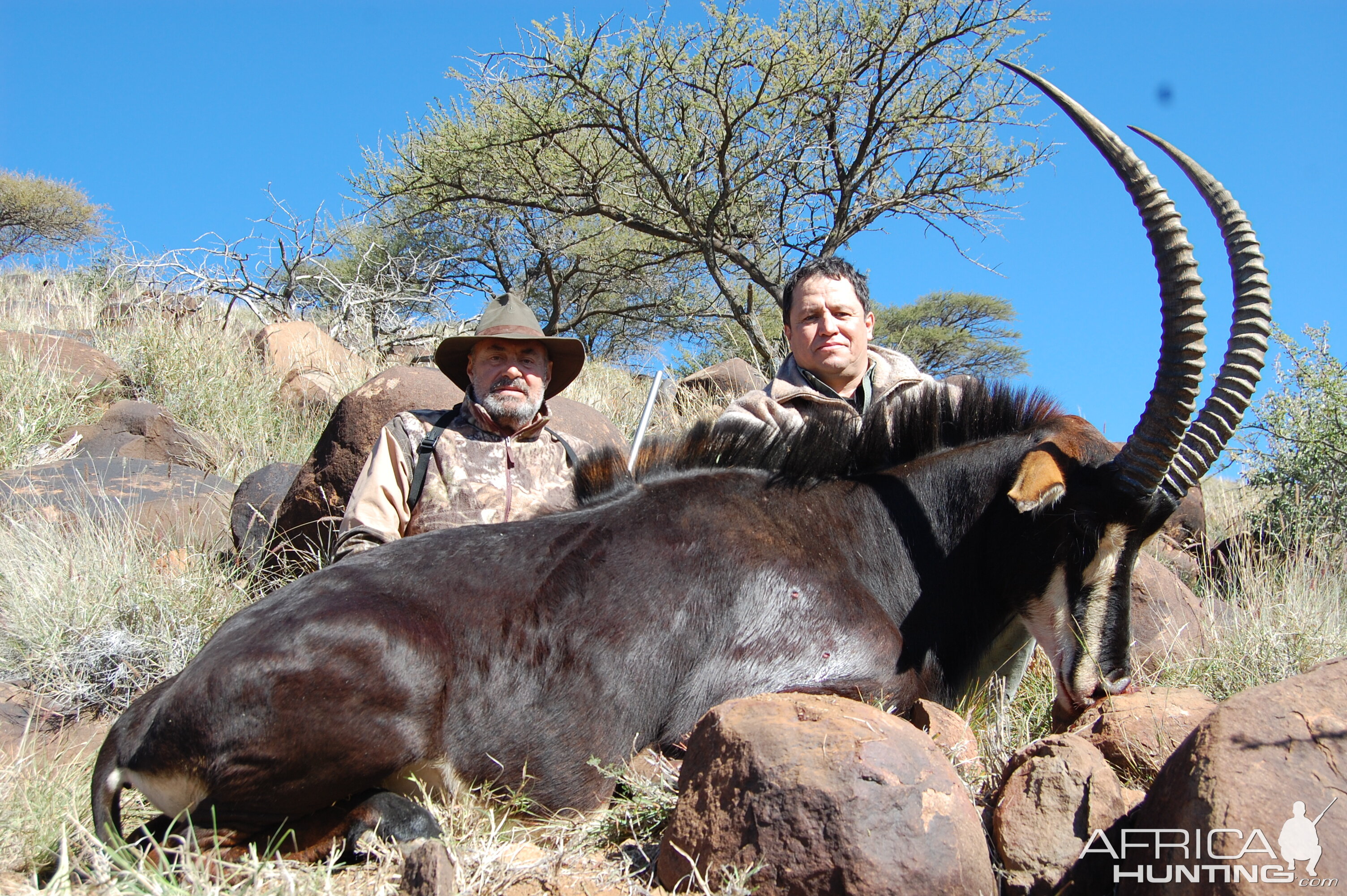 Hunting Sable with Wintershoek Johnny Vivier Safaris in SA