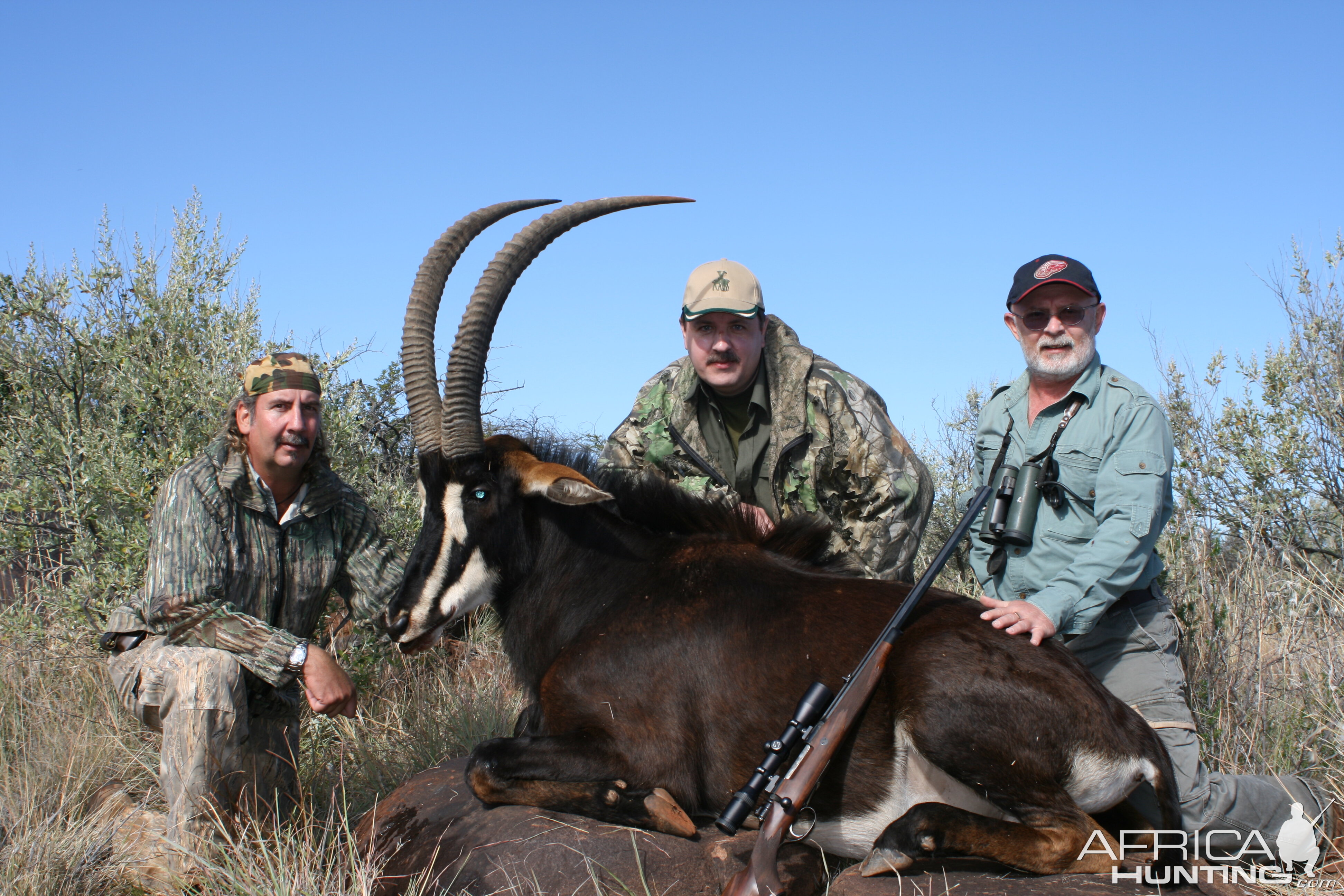 Hunting Sable with Wintershoek Johnny Vivier Safaris in SA