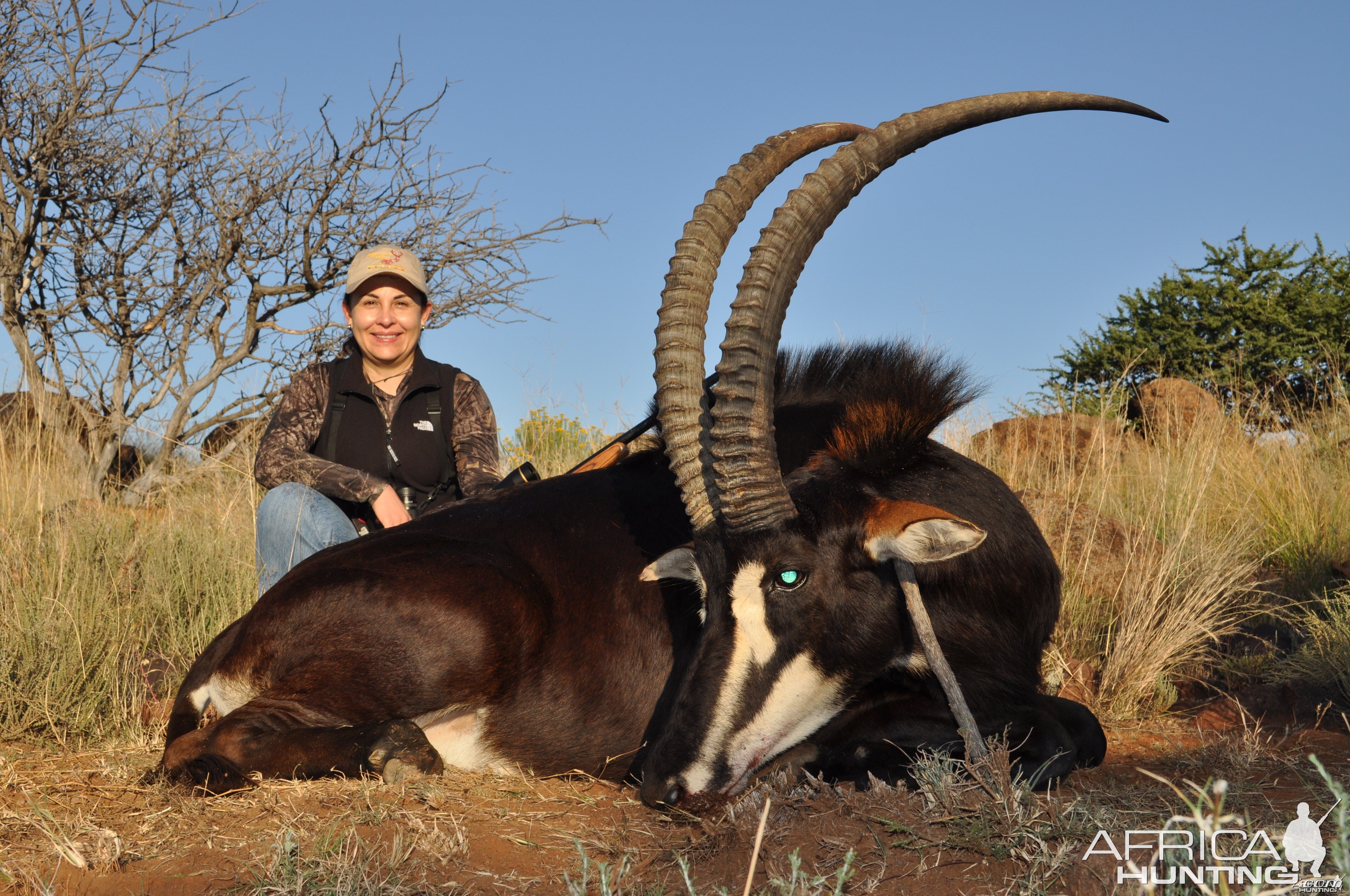 Hunting Sable with Wintershoek Johnny Vivier Safaris in SA