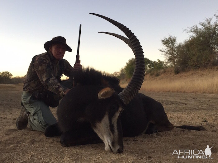 Hunting Sable Zimbabwe