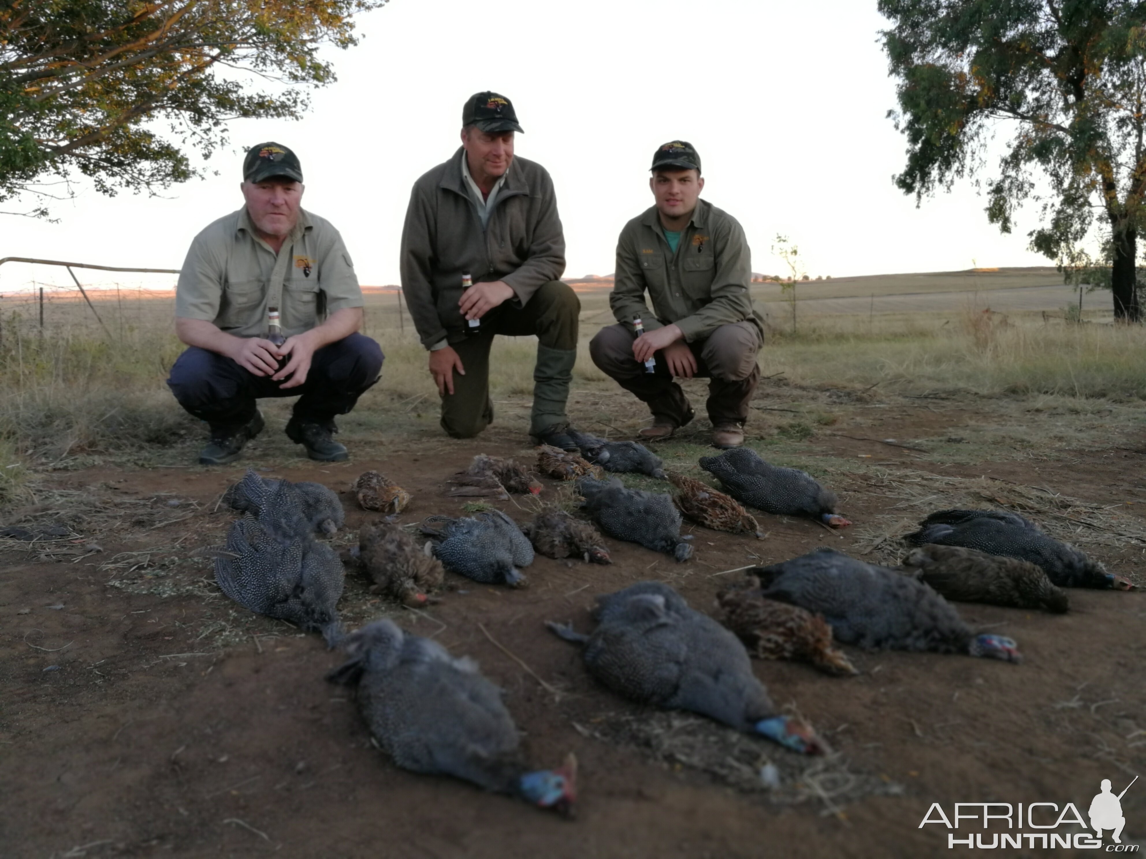 Hunting Sandgrouse & Guineafowl in South Africa