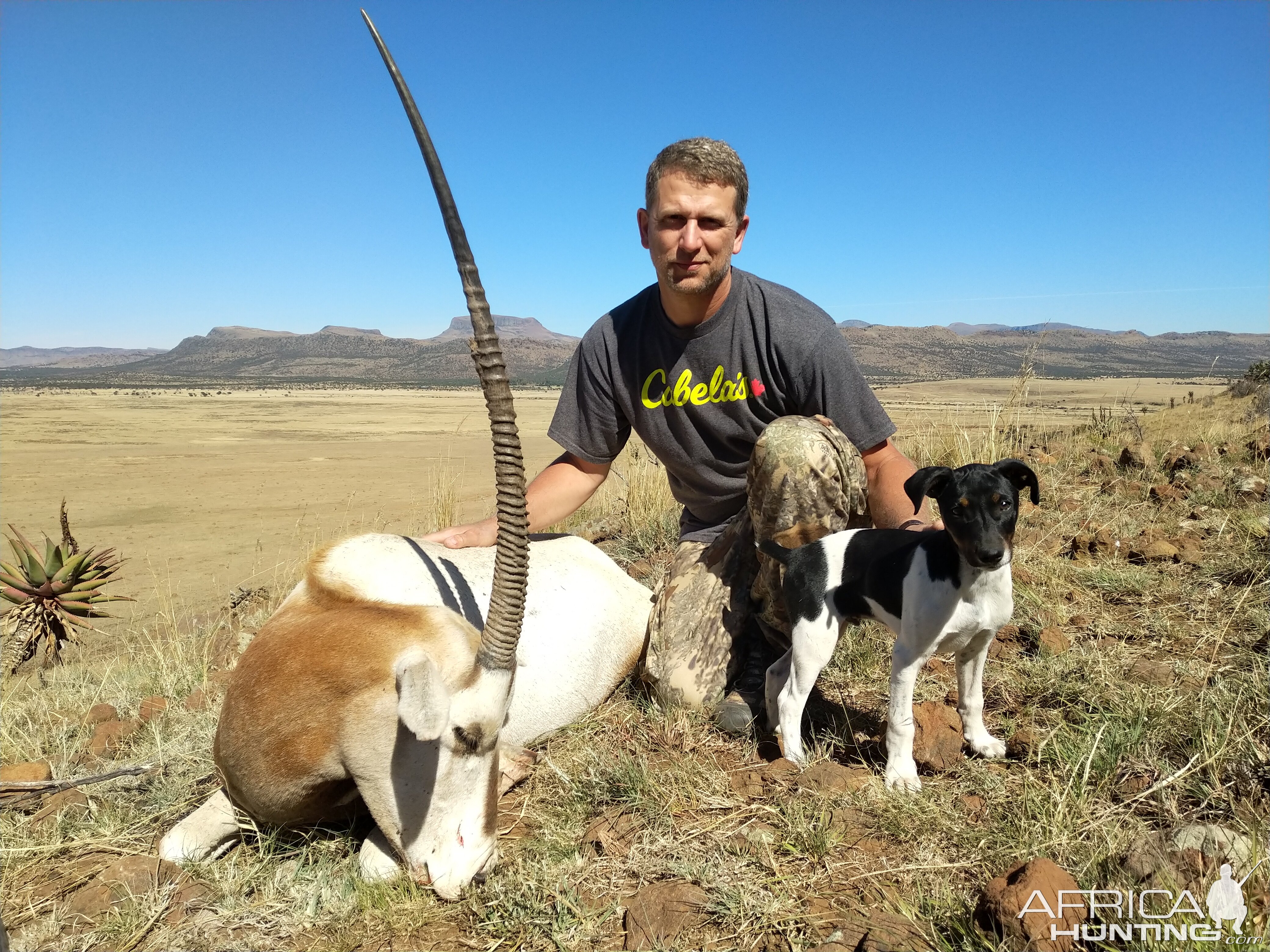 Hunting Scimitar Oryx in South Africa