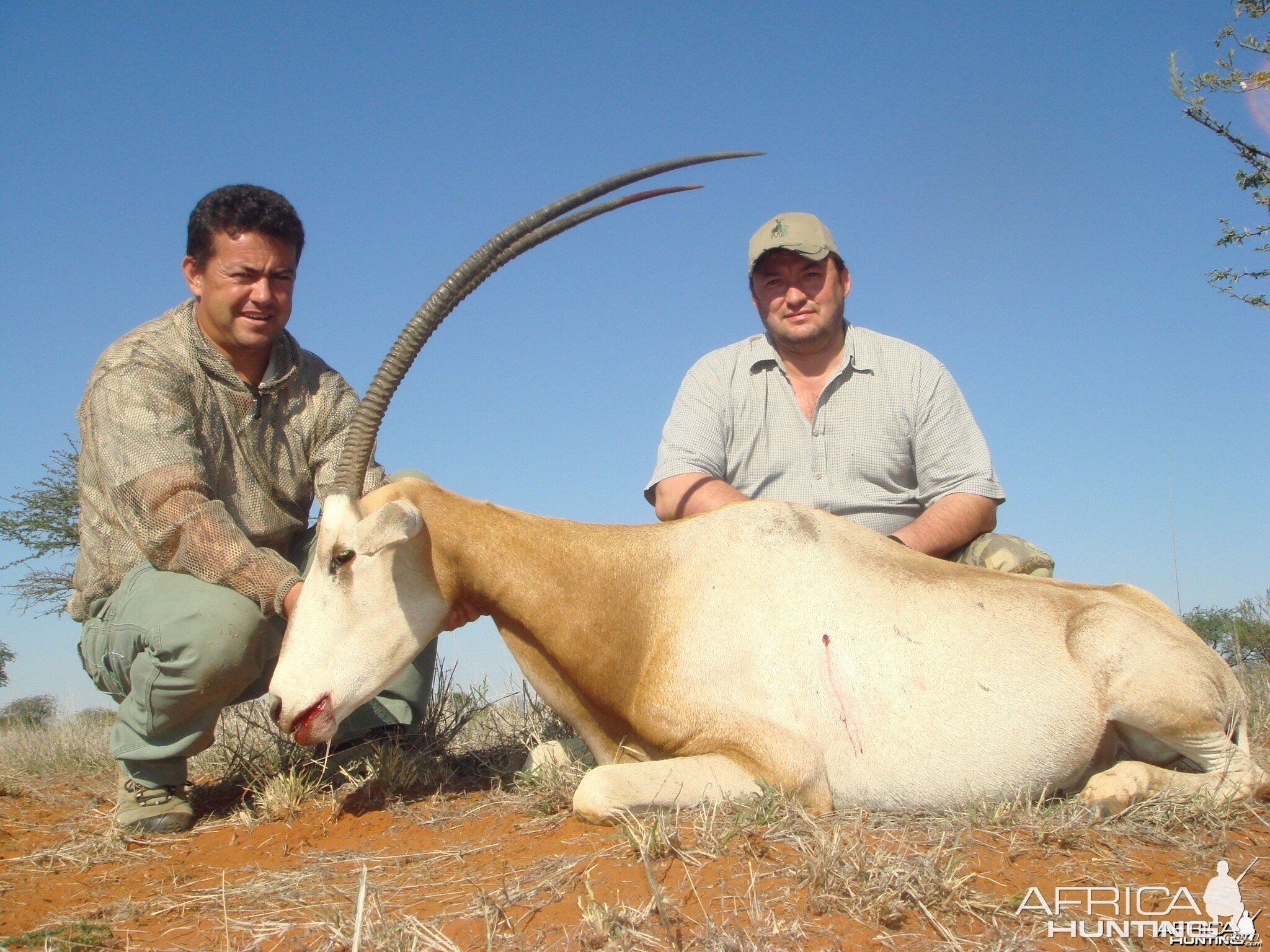 Hunting Scimitar Oryx with Wintershoek Johnny Vivier Safaris in SA