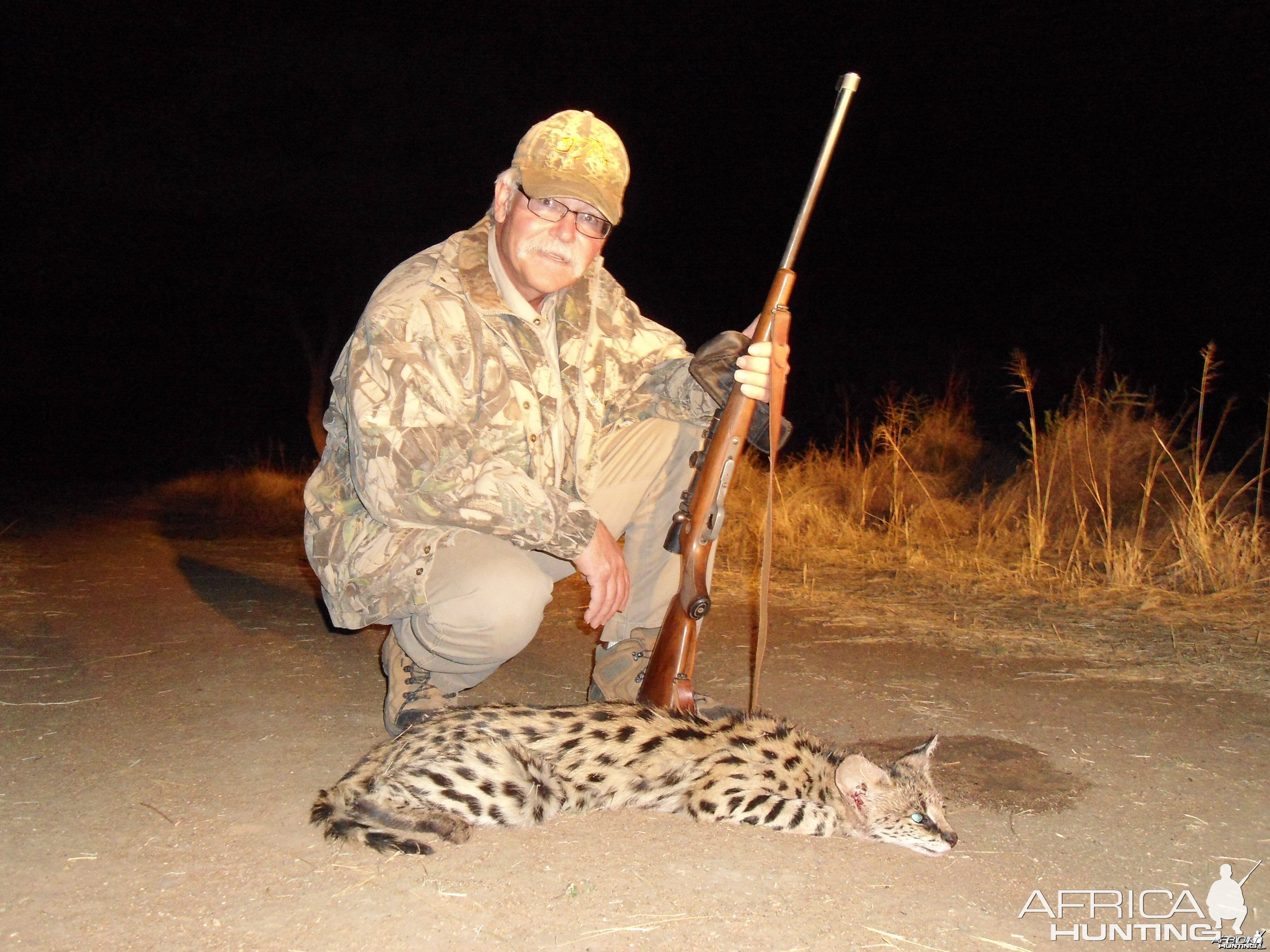 Hunting Serval in Namibia