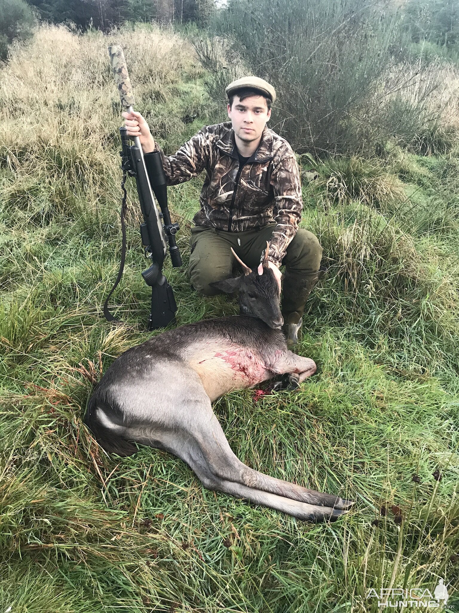 Hunting Sika Deer in Scotland