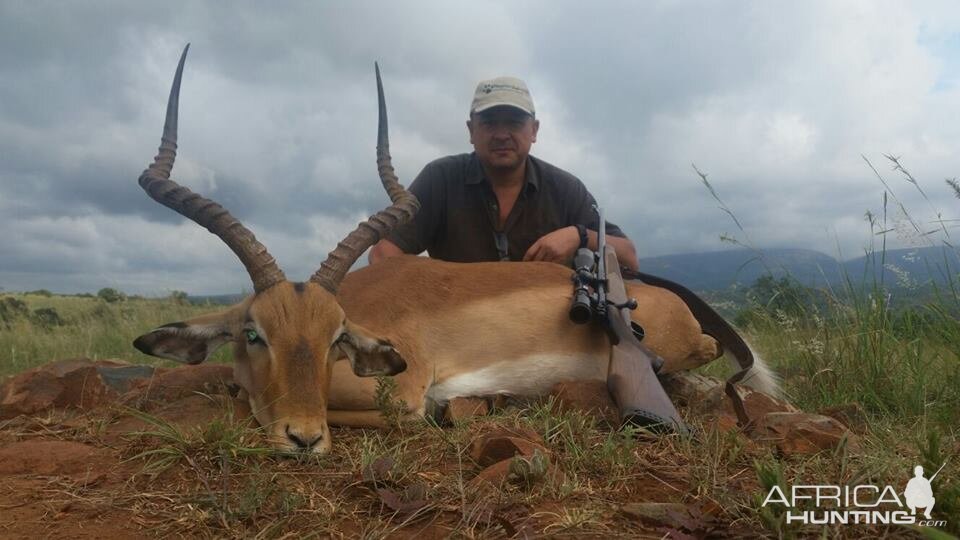 Hunting South Africa 24" Inch Impala