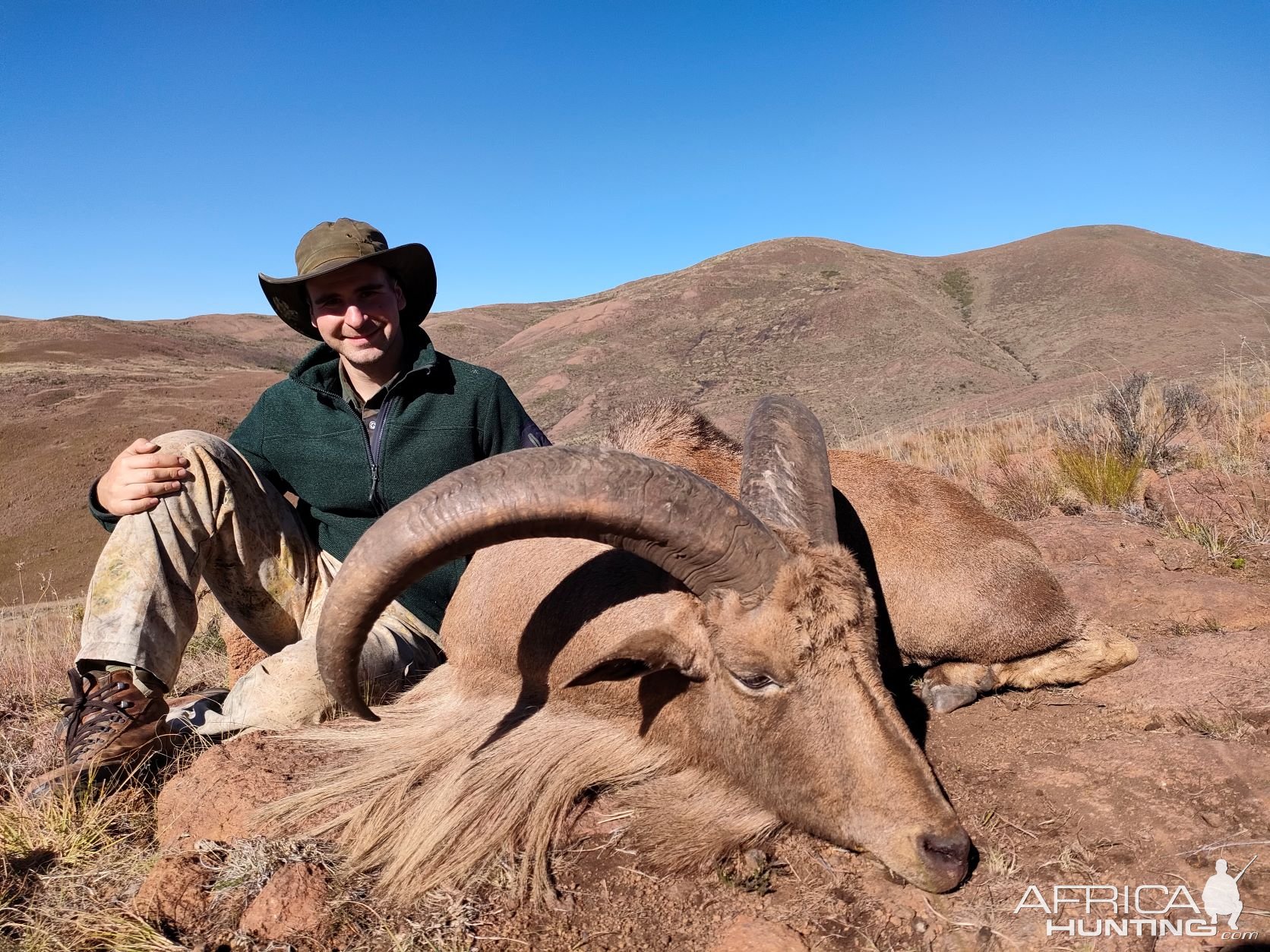 Hunting South Africa Aoudad