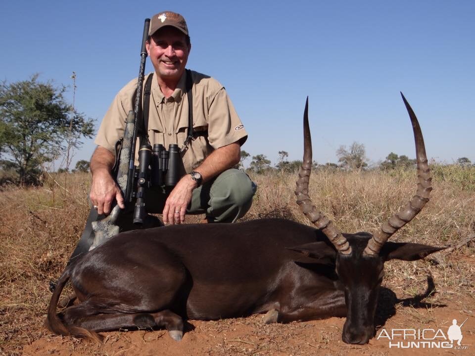 Hunting South Africa Black Impala