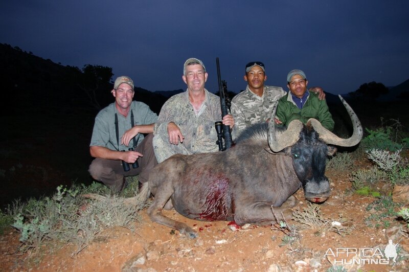 Hunting South Africa Black Wildebeest