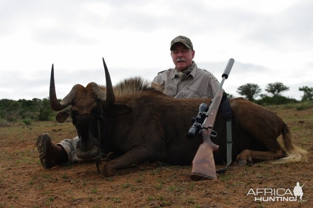 Hunting South Africa Black Wildebeest