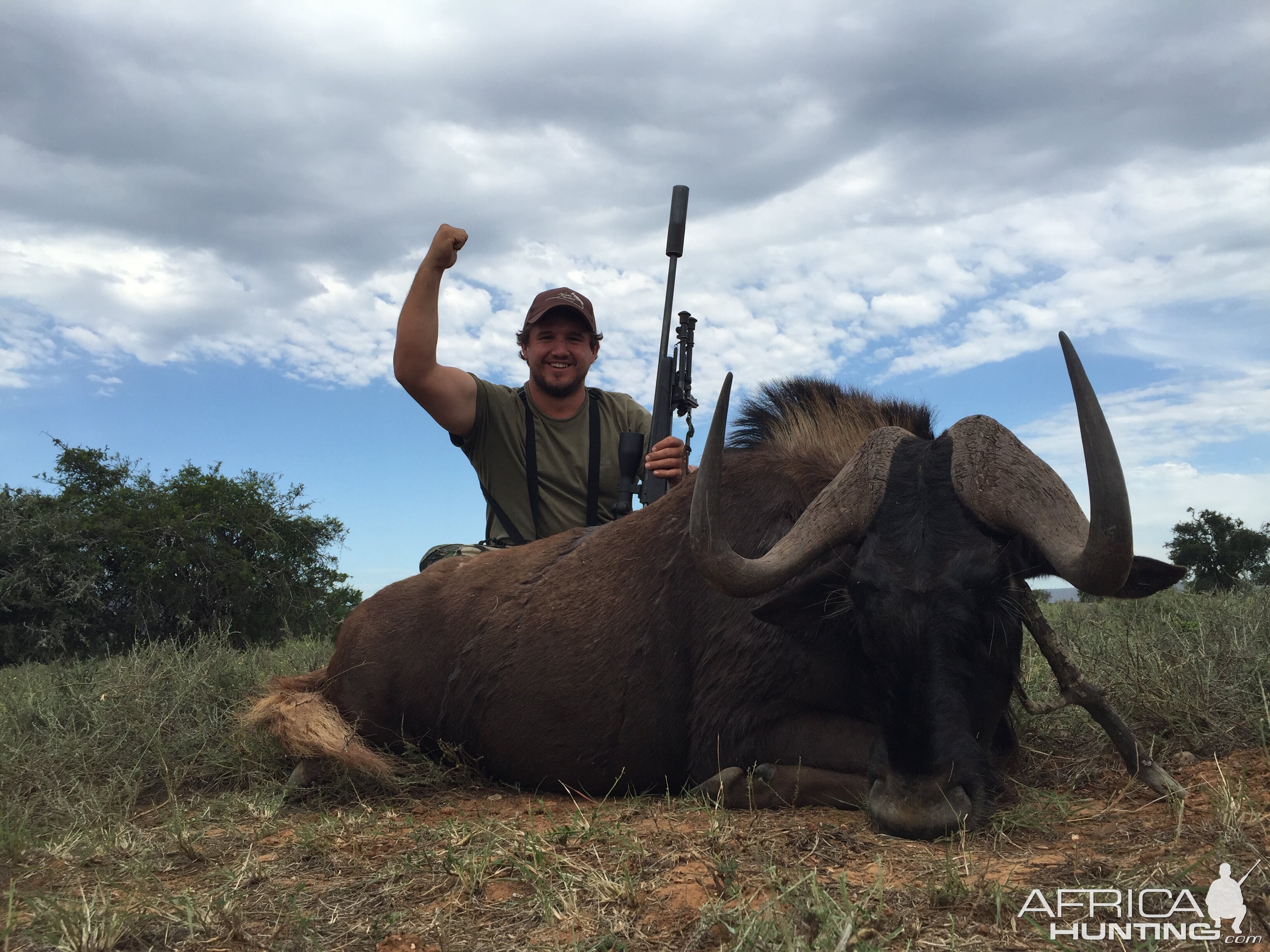 Hunting South Africa Black Wildebeest