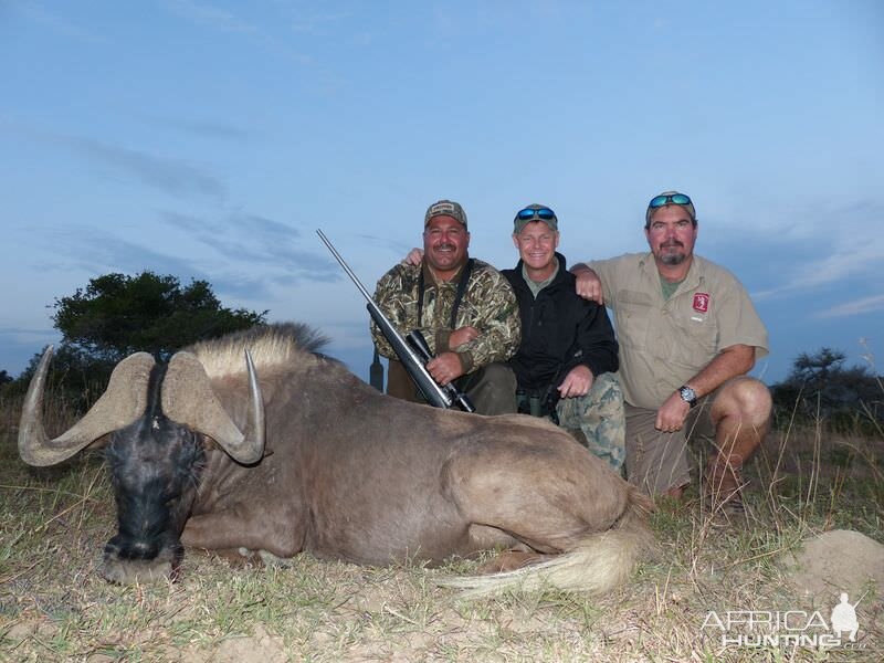 Hunting South Africa Black Wildebeest