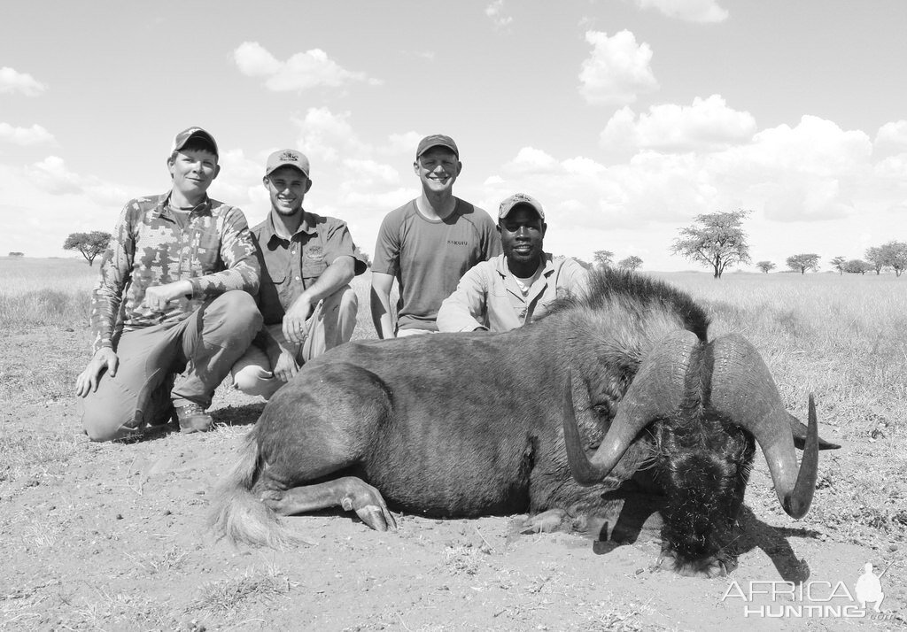 Hunting South Africa Black Wildebeest