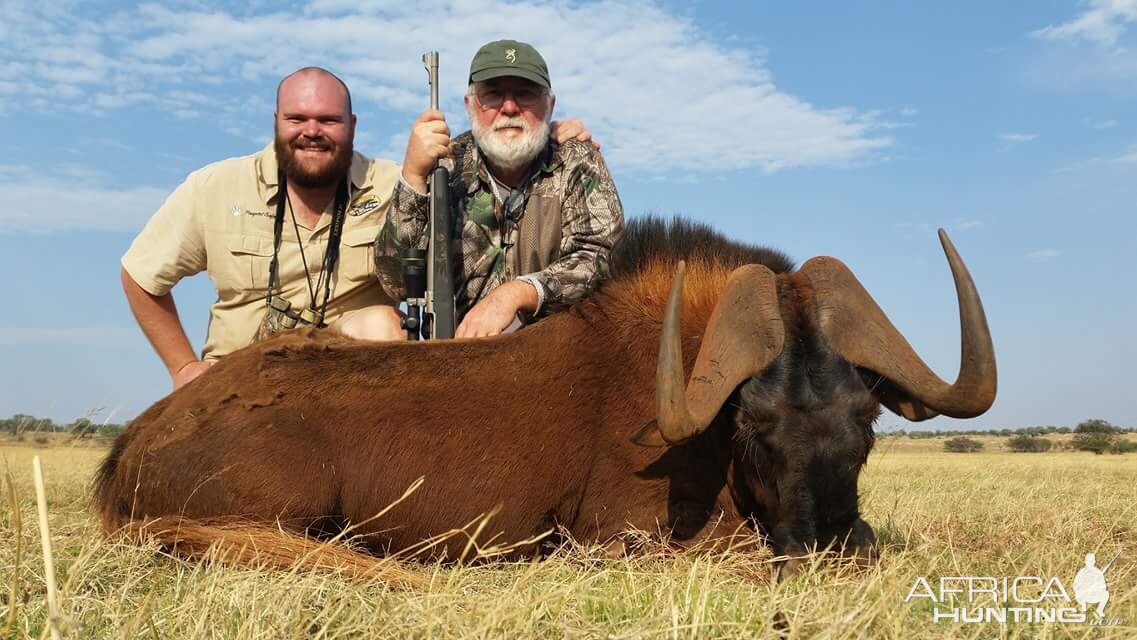 Hunting South Africa Black Wildebeest