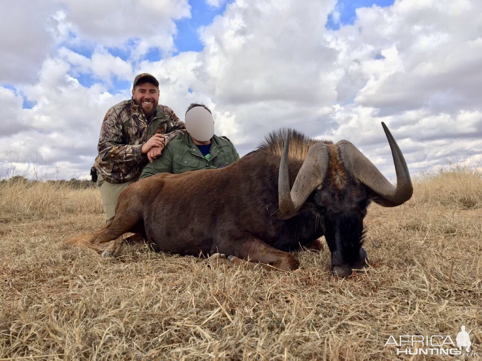 Hunting South Africa Black Wildebeest