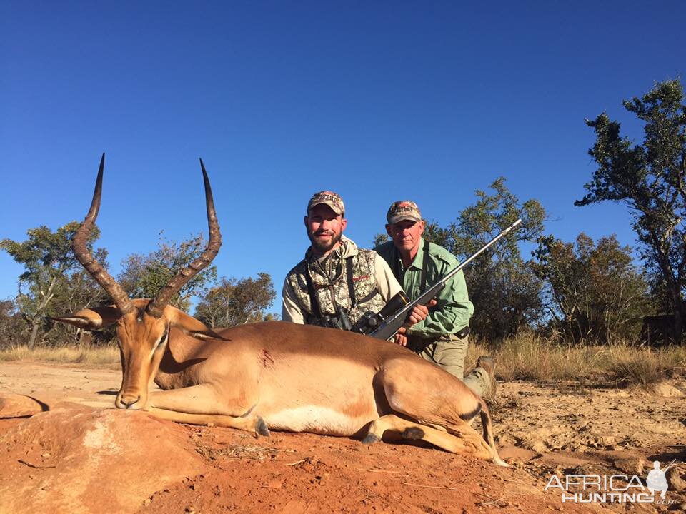 Hunting South Africa Impala