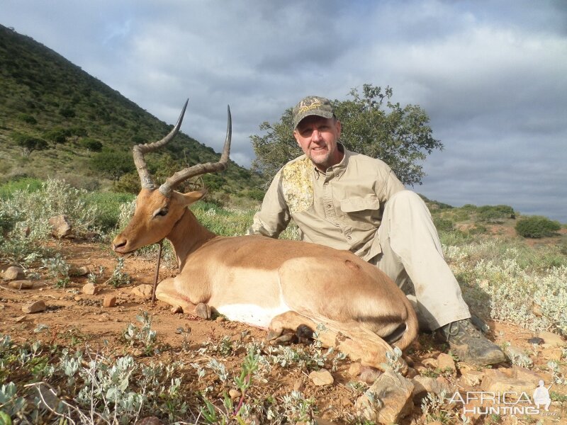 Hunting South Africa Impala