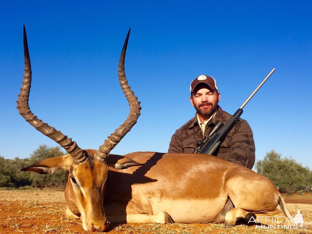 Hunting South Africa Impala