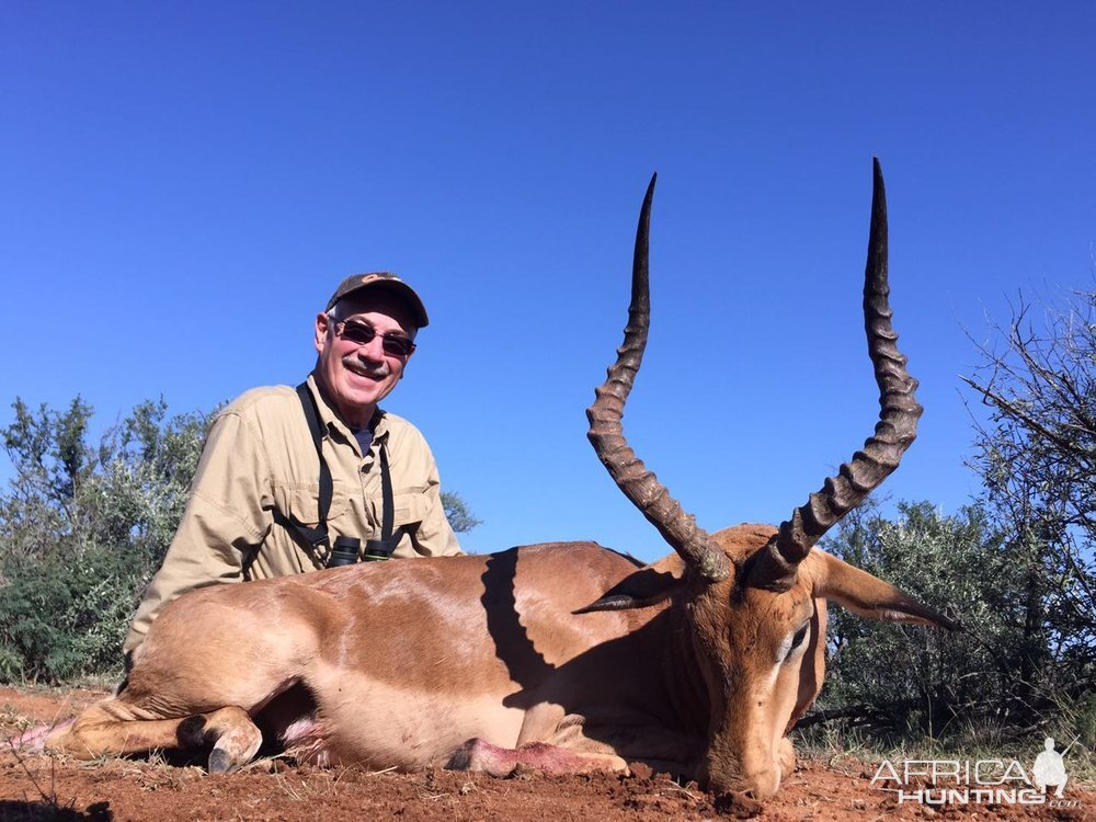 Hunting South Africa Impala