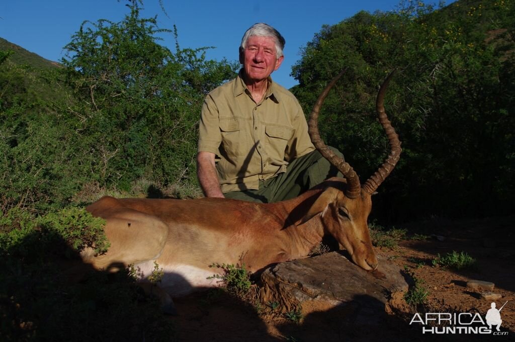 Hunting South Africa Impala