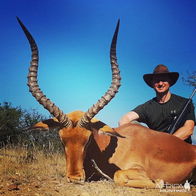 Hunting South Africa Impala