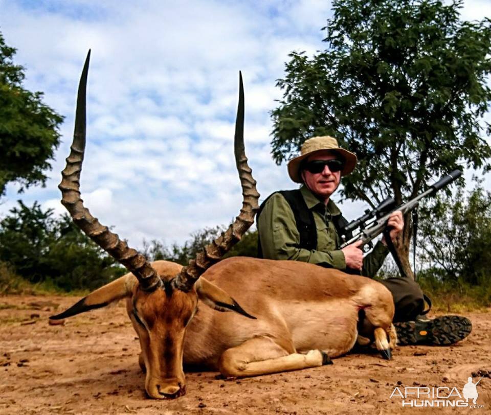 Hunting South Africa Impala