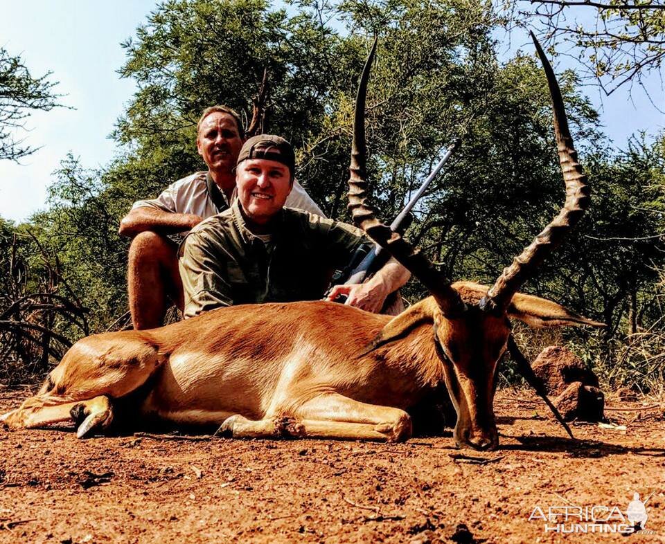 Hunting South Africa Impala