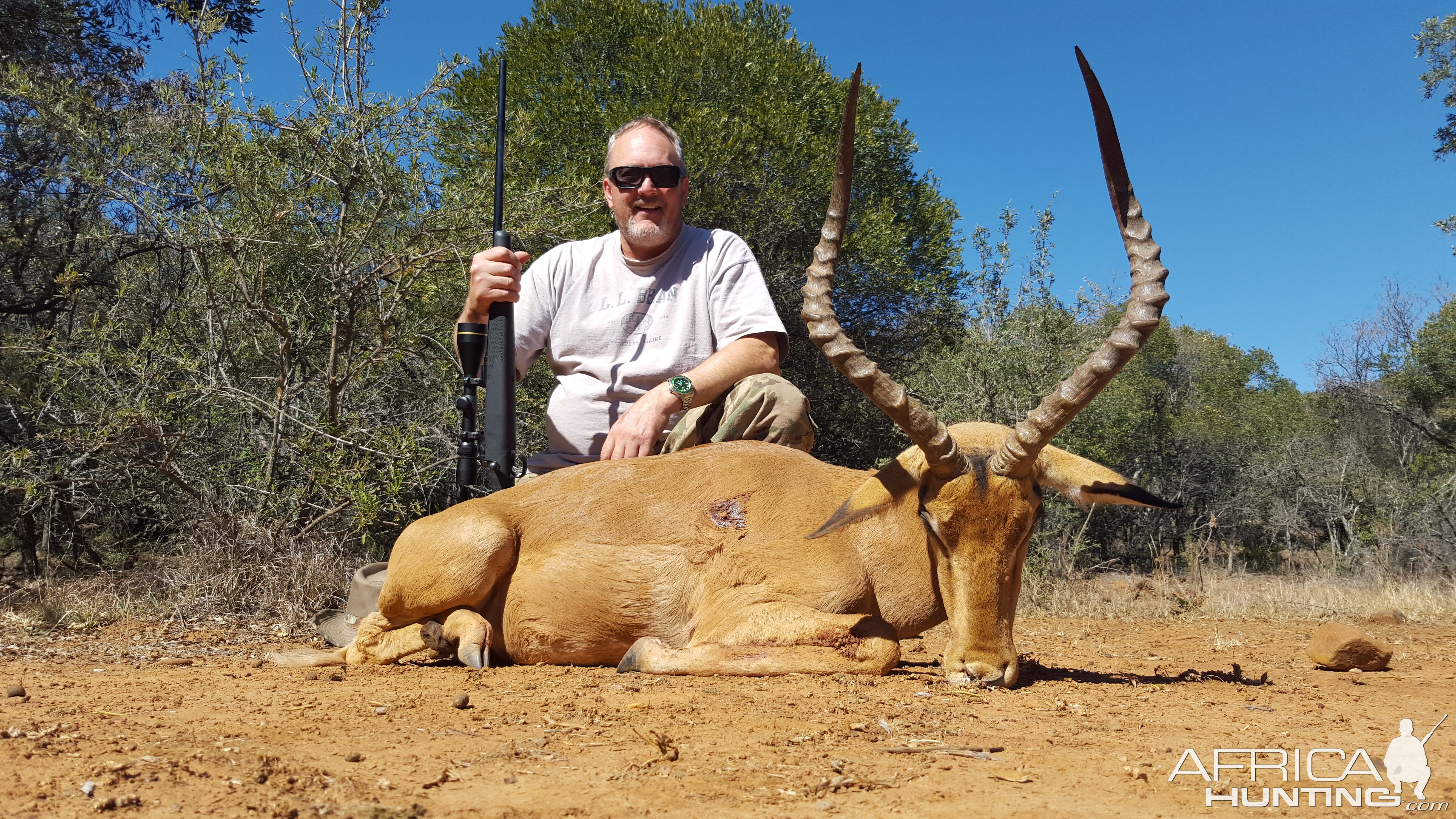 Hunting South Africa Impala