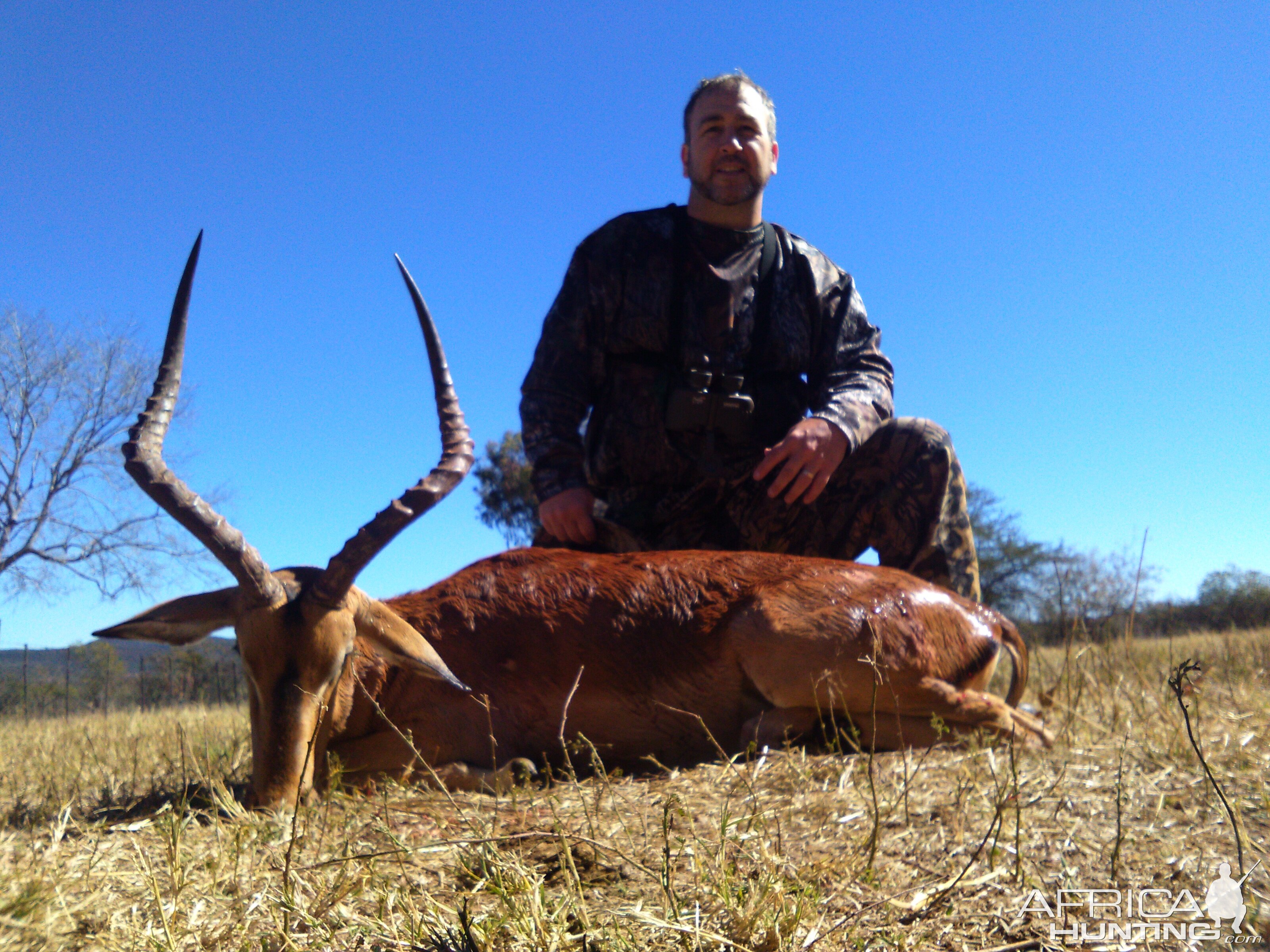 Hunting South Africa Impala